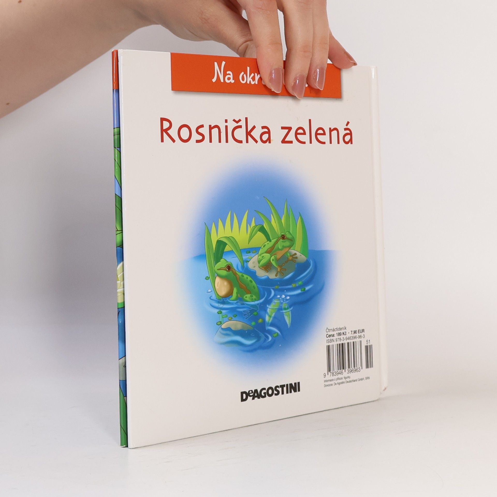 Kolektiv autorů Na okraji lesa 35. Rosnička zelená