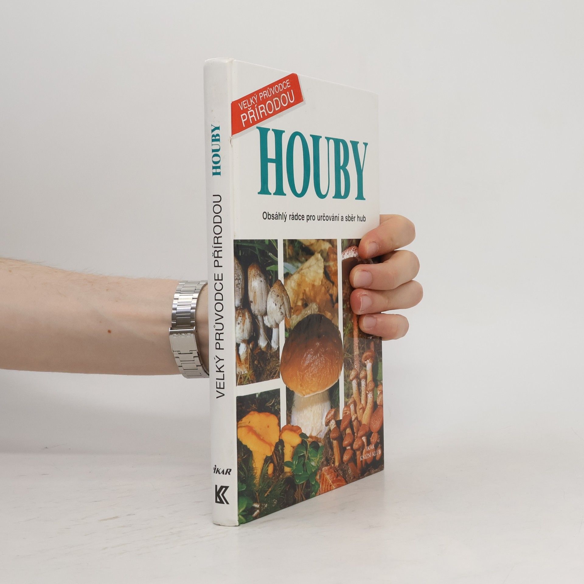 Laura Maggiora Houby. Obsáhlý rádce pro určování a sběr hub