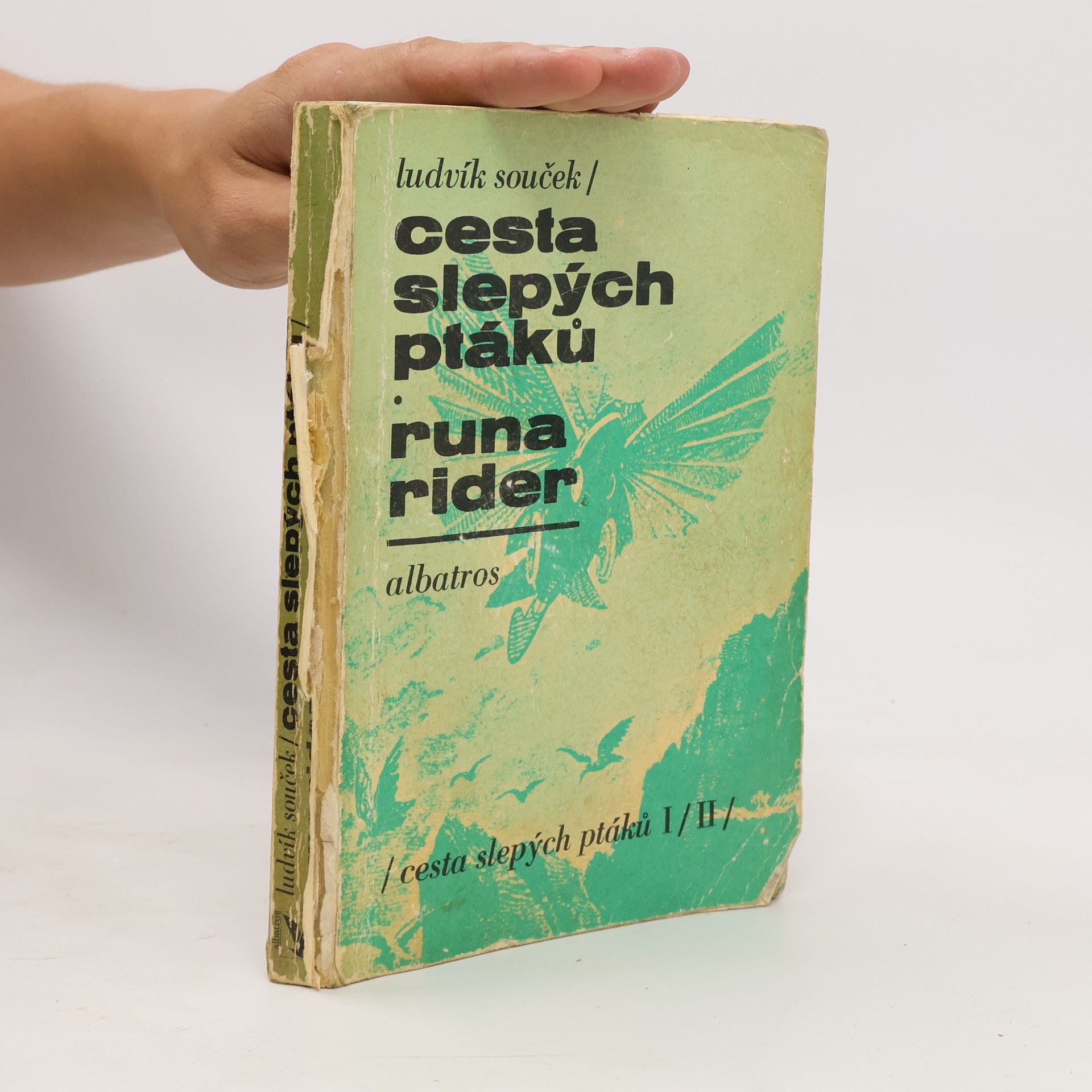 Cesta slepých ptáků. Runa rider