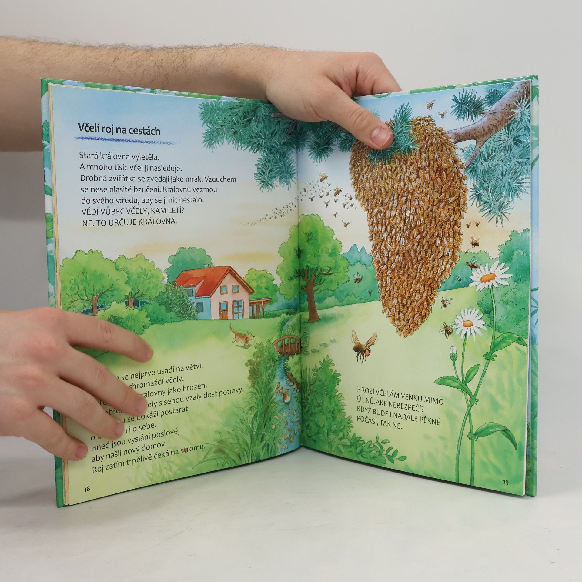 Friederun Reichenstetter Včelky - Jak vyrůstají a žijí?