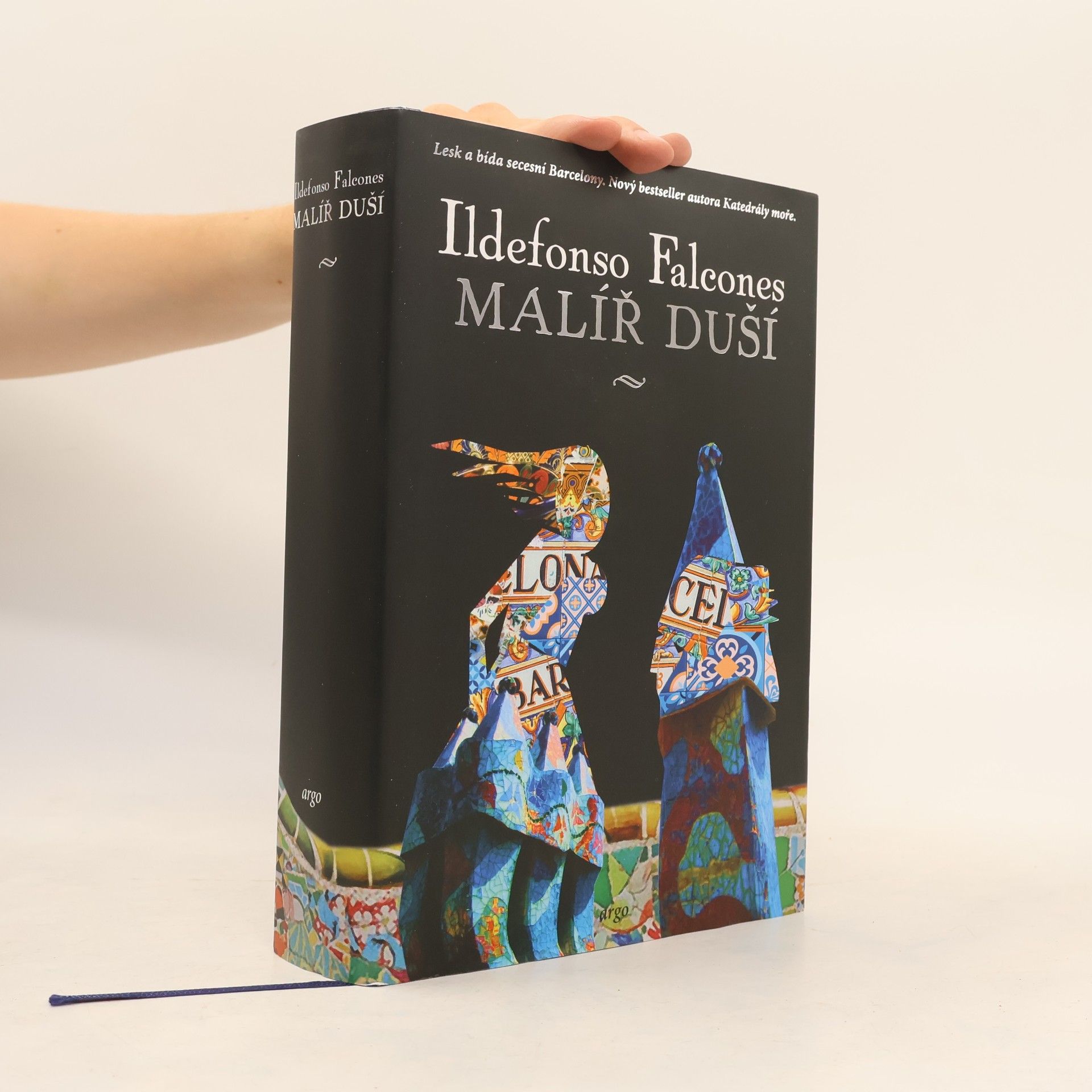 Ildefonso Falcones Malíř duší