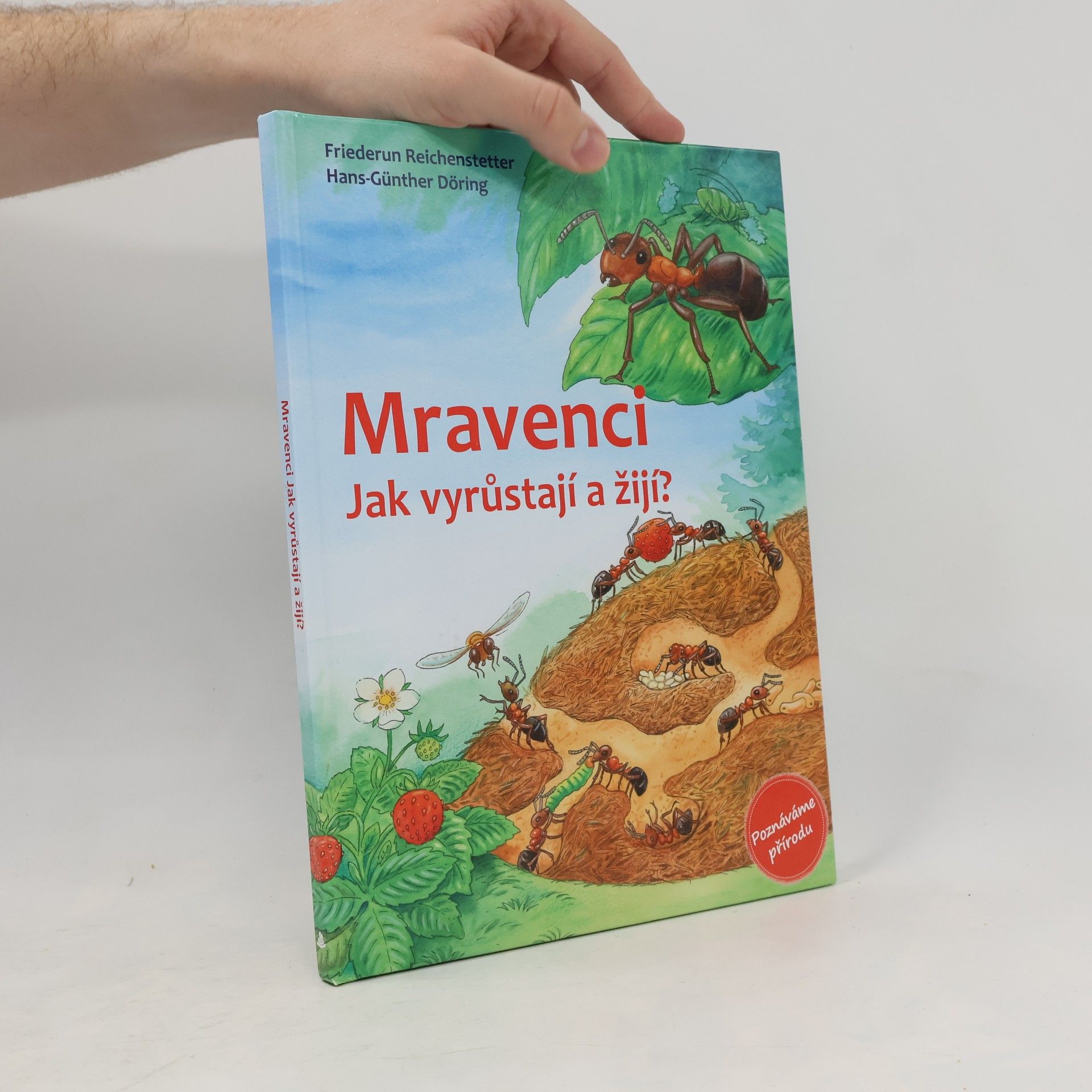 Mravenci. Jak vyrůstají a žijí?