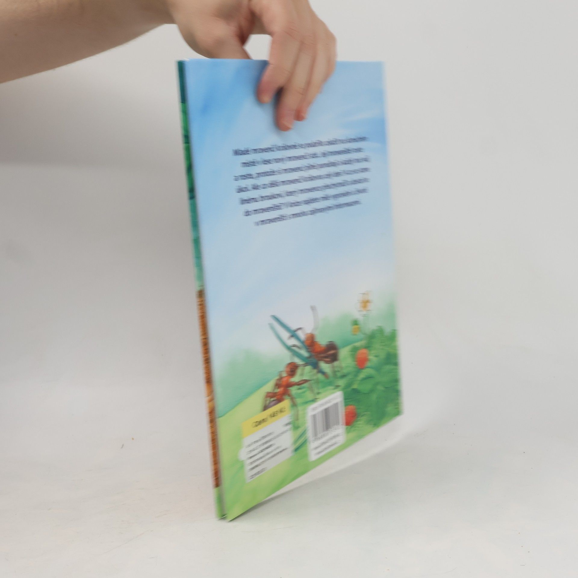 Friederun Reichenstetter Mravenci. Jak vyrůstají a žijí?
