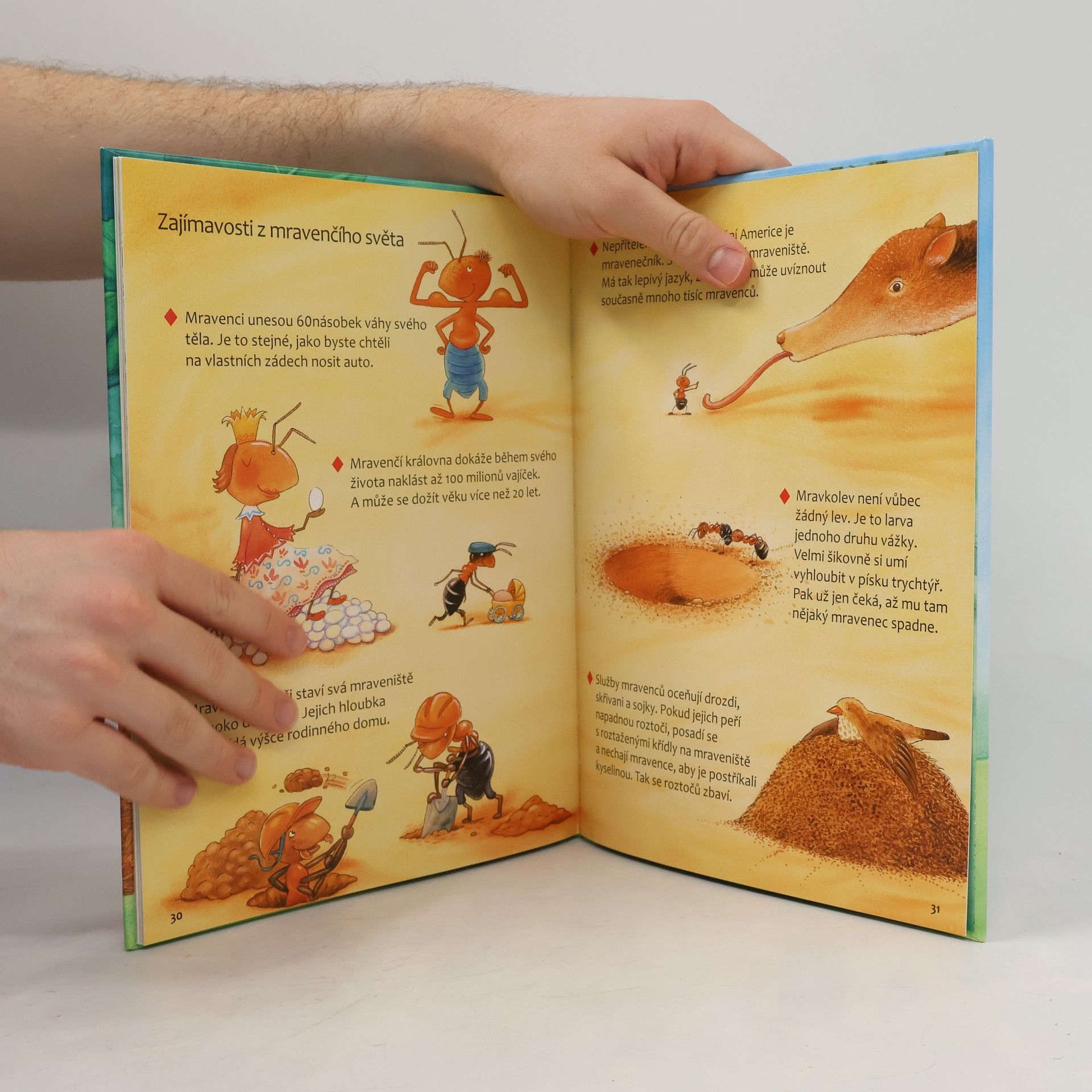 Friederun Reichenstetter Mravenci. Jak vyrůstají a žijí?