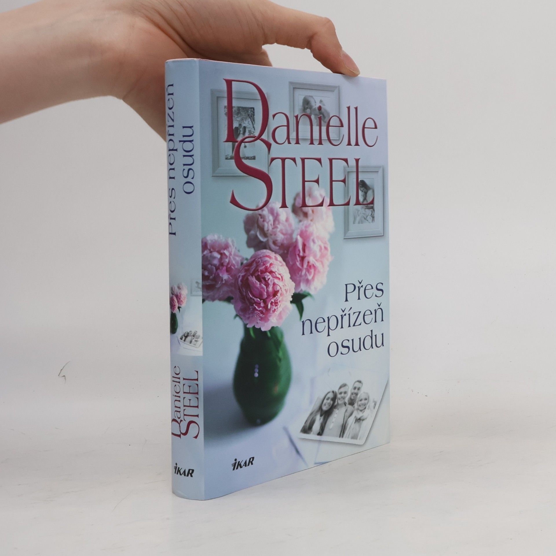 Danielle Steel Přes nepřízeň osudu