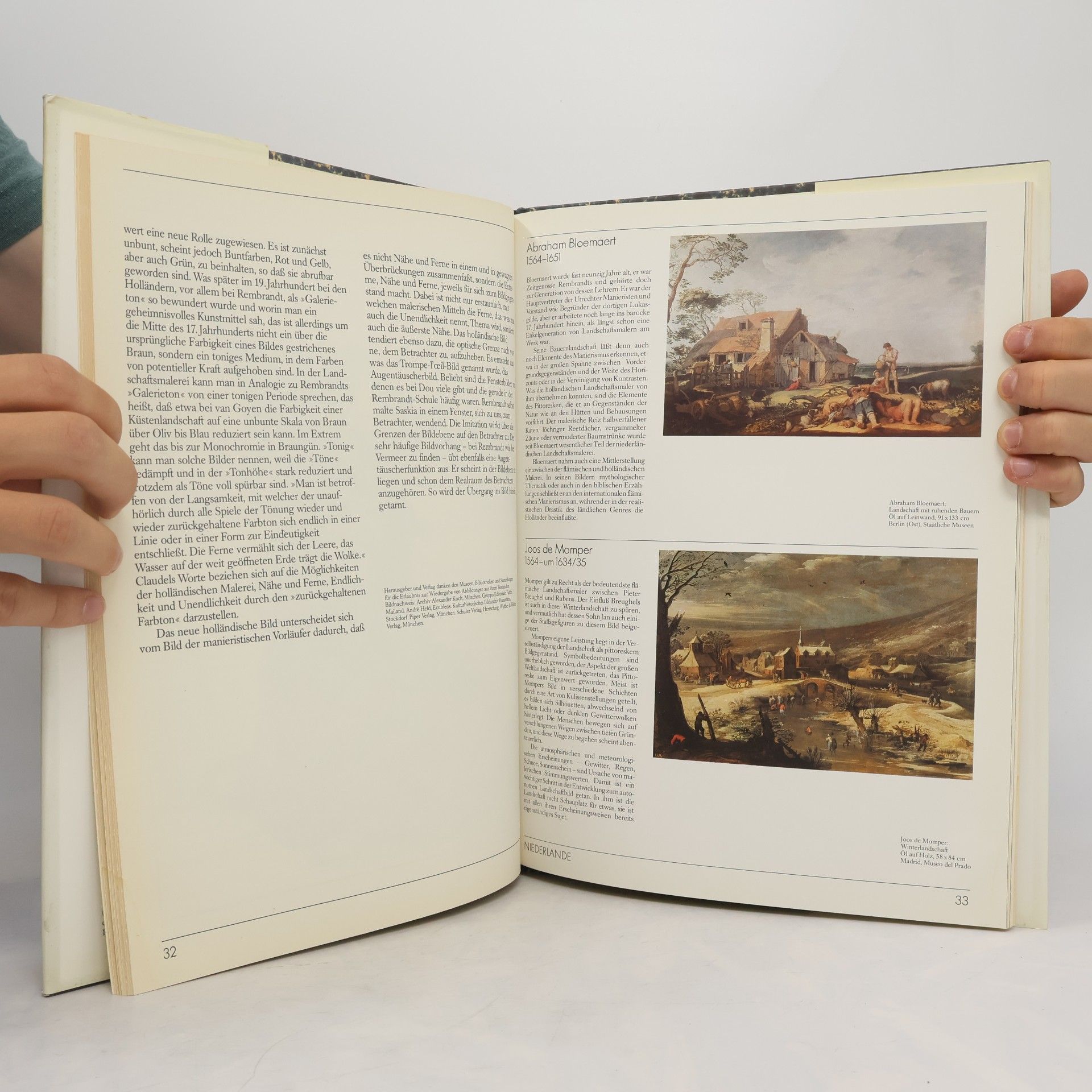 Kolektiv autorů Niederländischer Barock von Rubens bis Vermeer