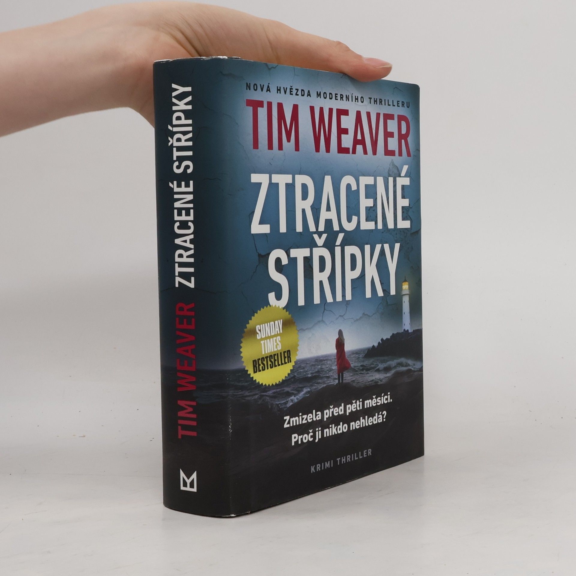 Tim Weaver Ztracené střípky