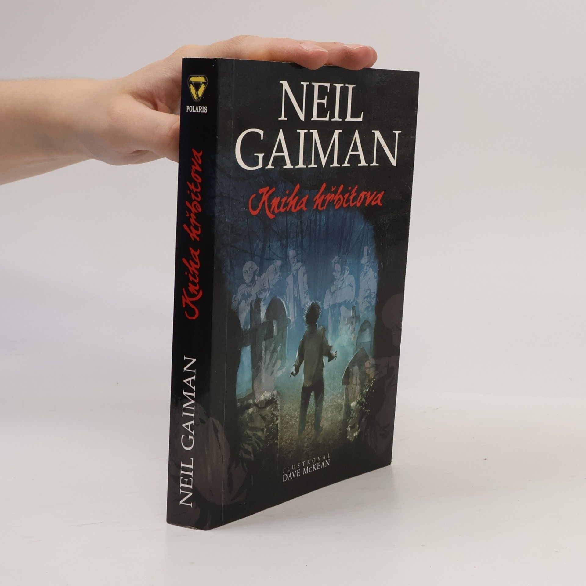 Neil Gaiman Kniha hřbitova