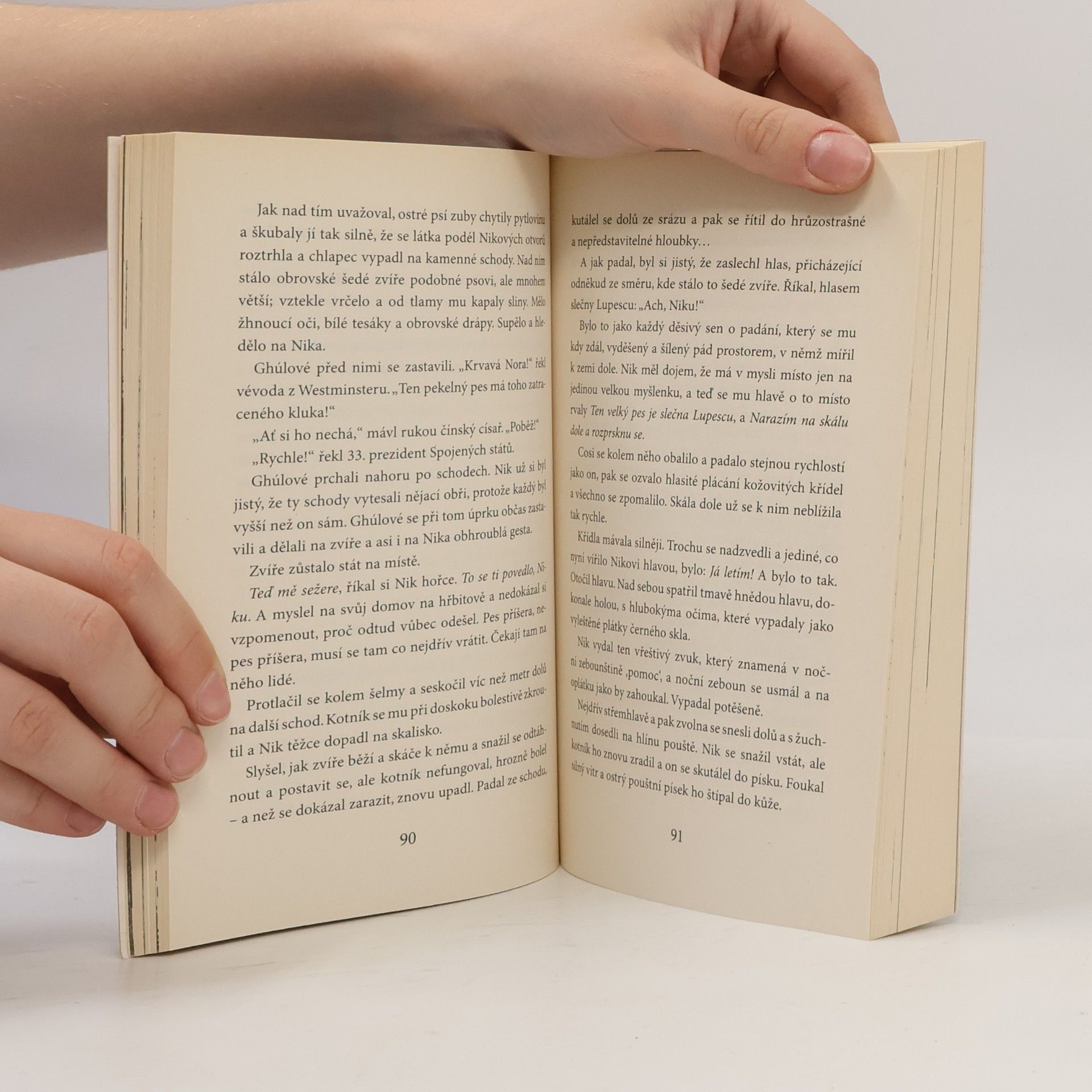 Neil Gaiman Kniha hřbitova