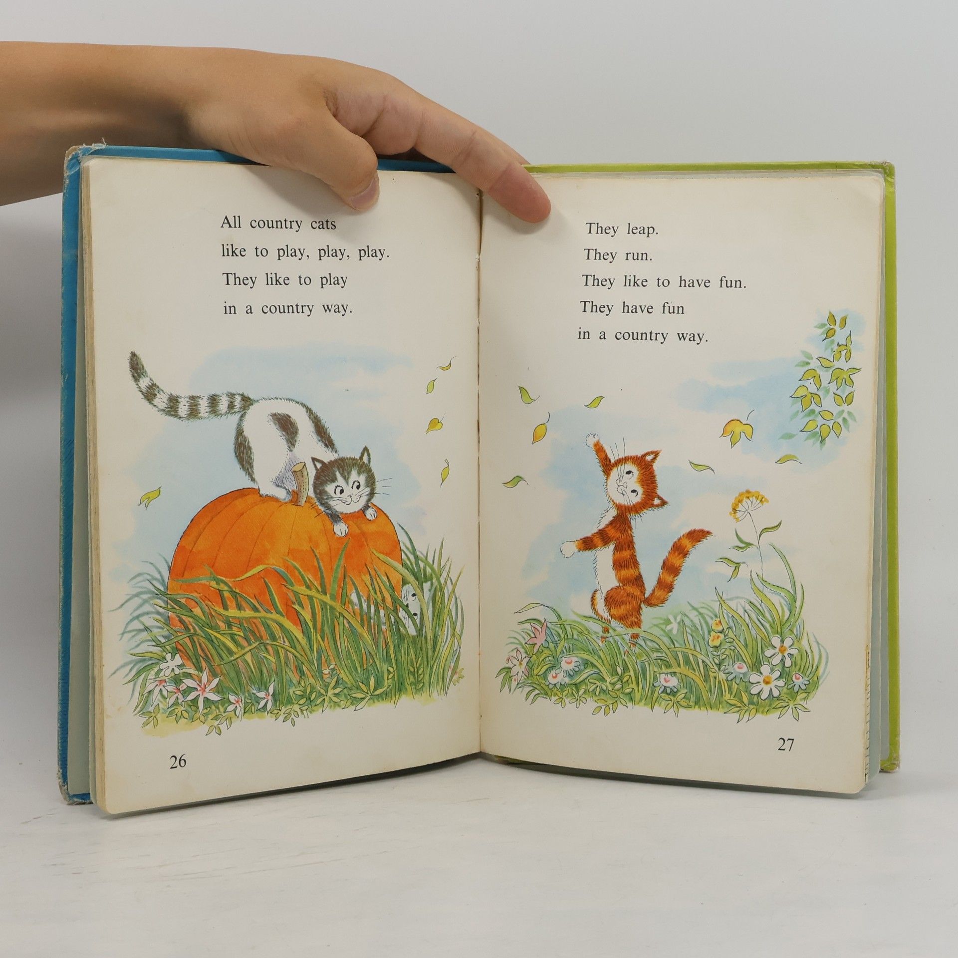 Barbara Shook Hazen City Cats, Country Cats