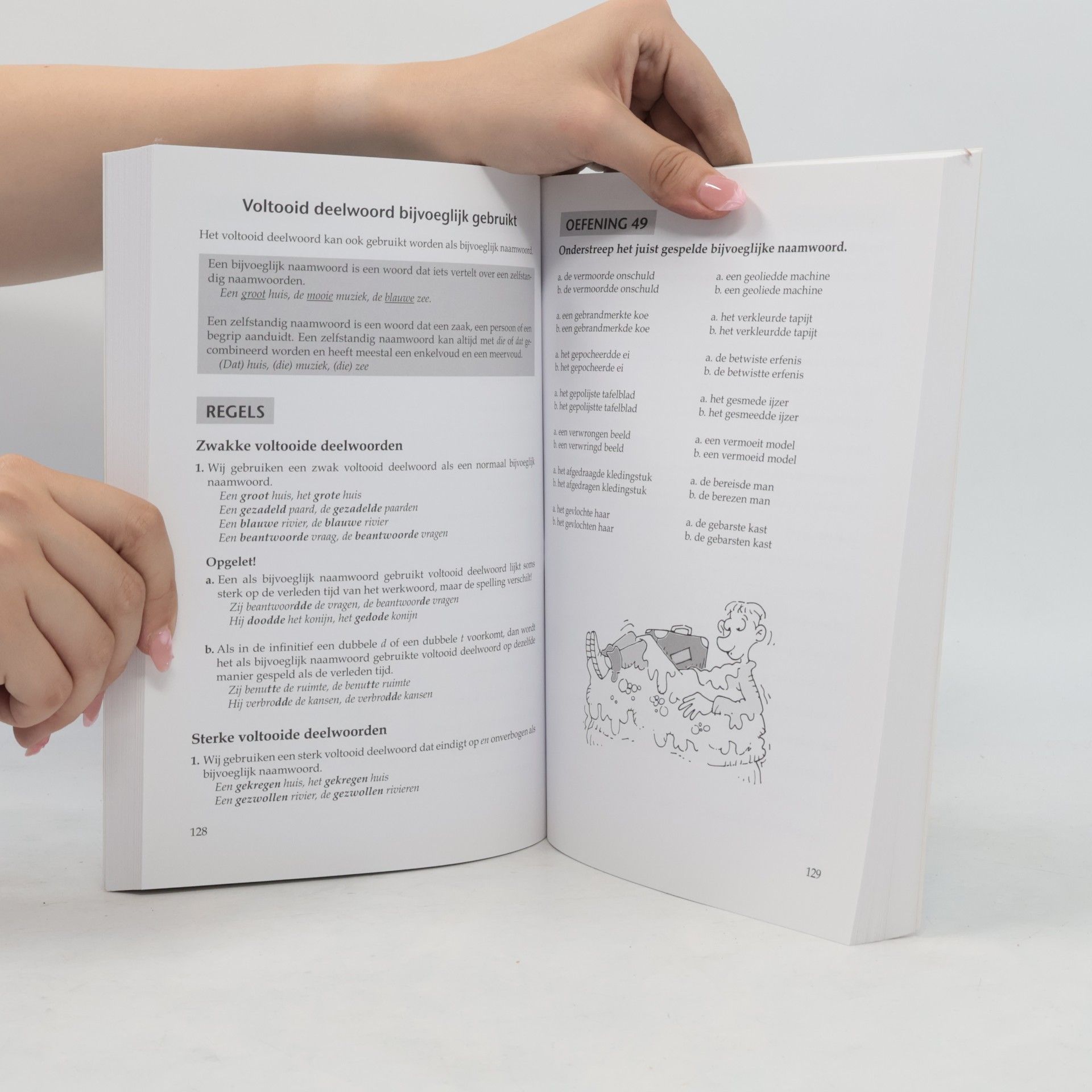 Autorenkollektiv Schrijven zonder fouten. Compleet Handboek
