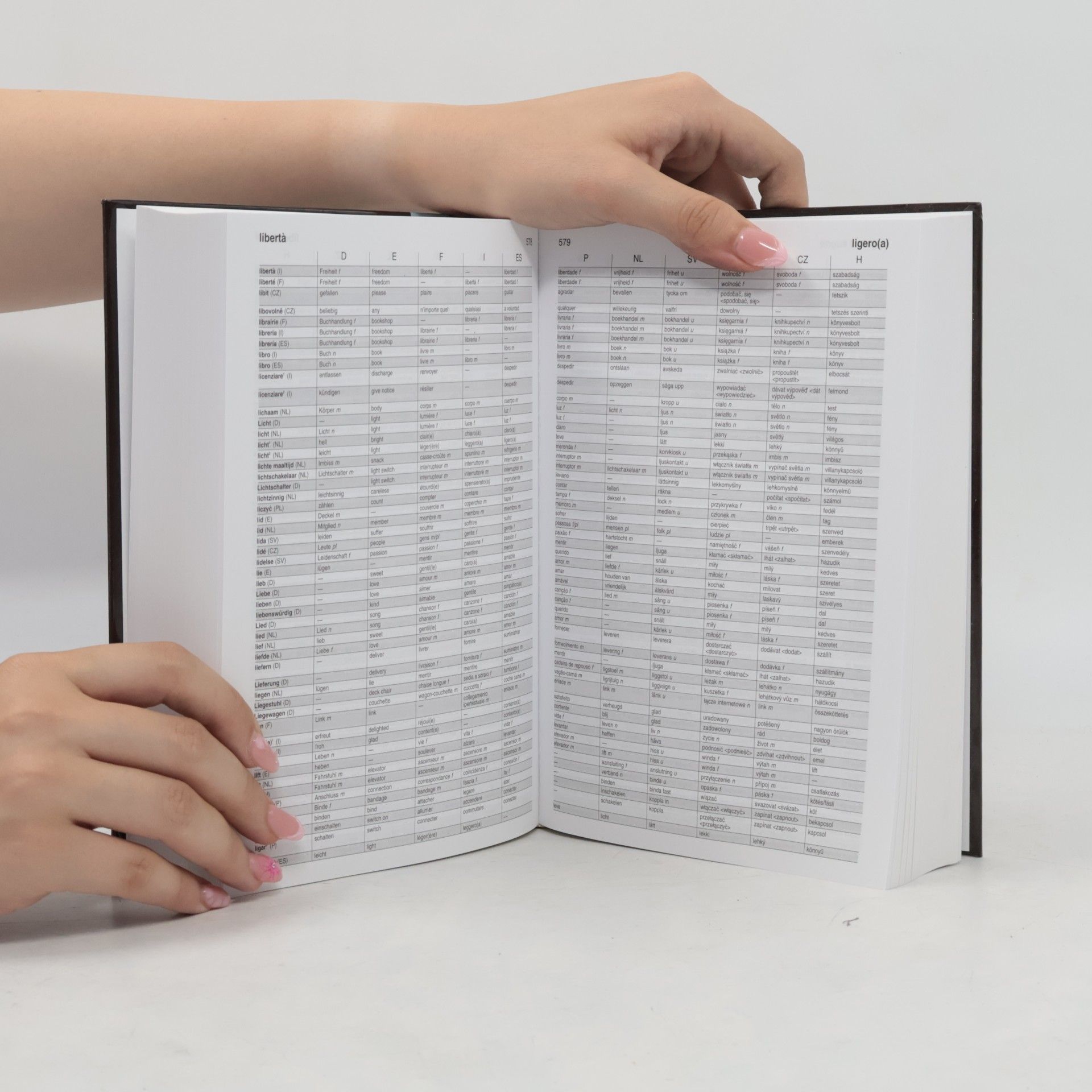 Karel F. Gildemacher Van Dale Elftalig Woordenboek