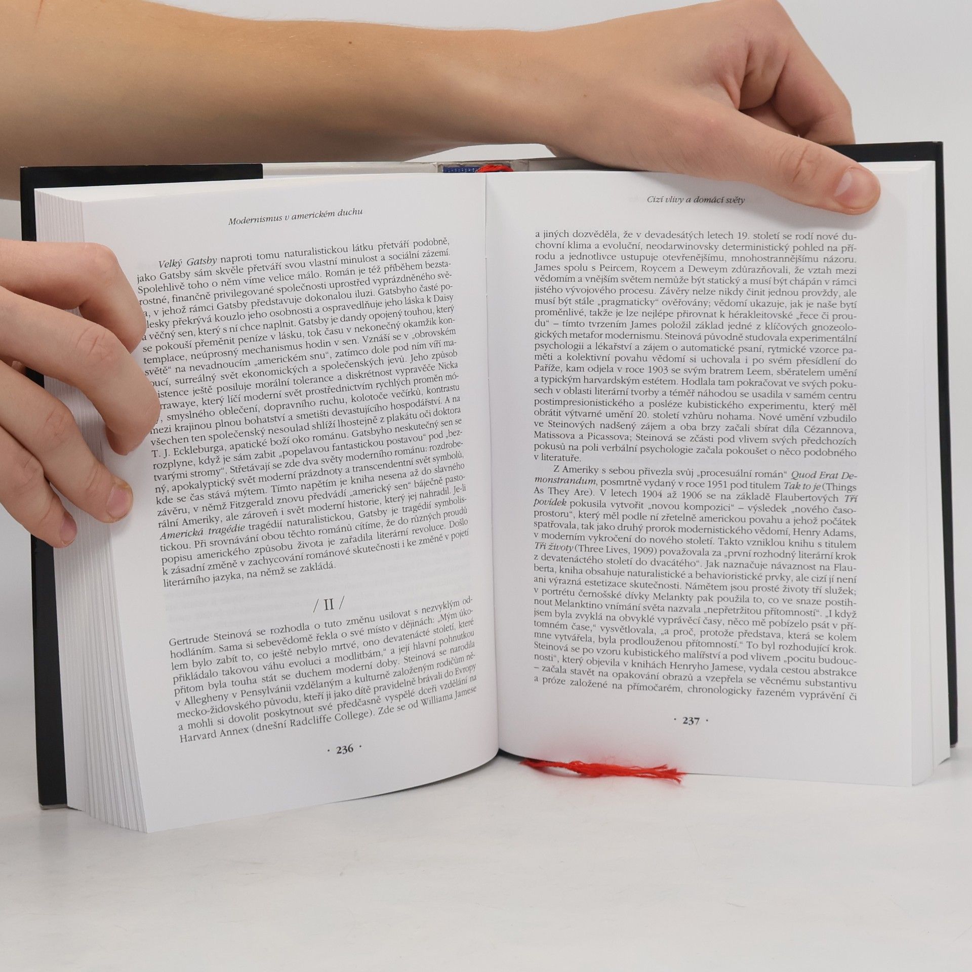 Richard Ruland Od puritanismu k postmodernismu : dějiny americké literatury