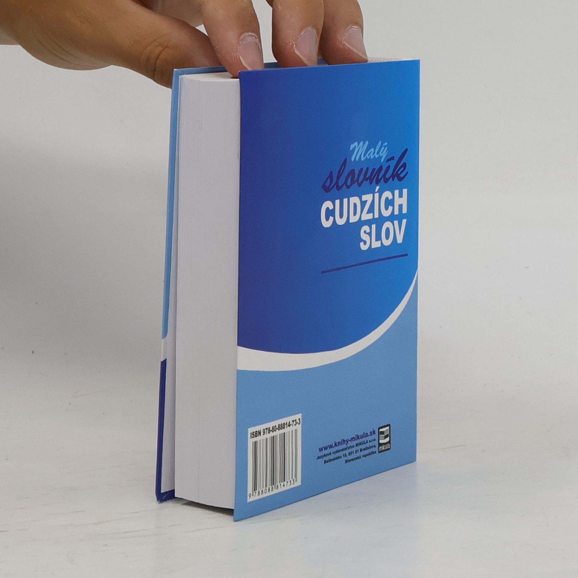 Vojtech Piťo Malý slovník cudzích slov