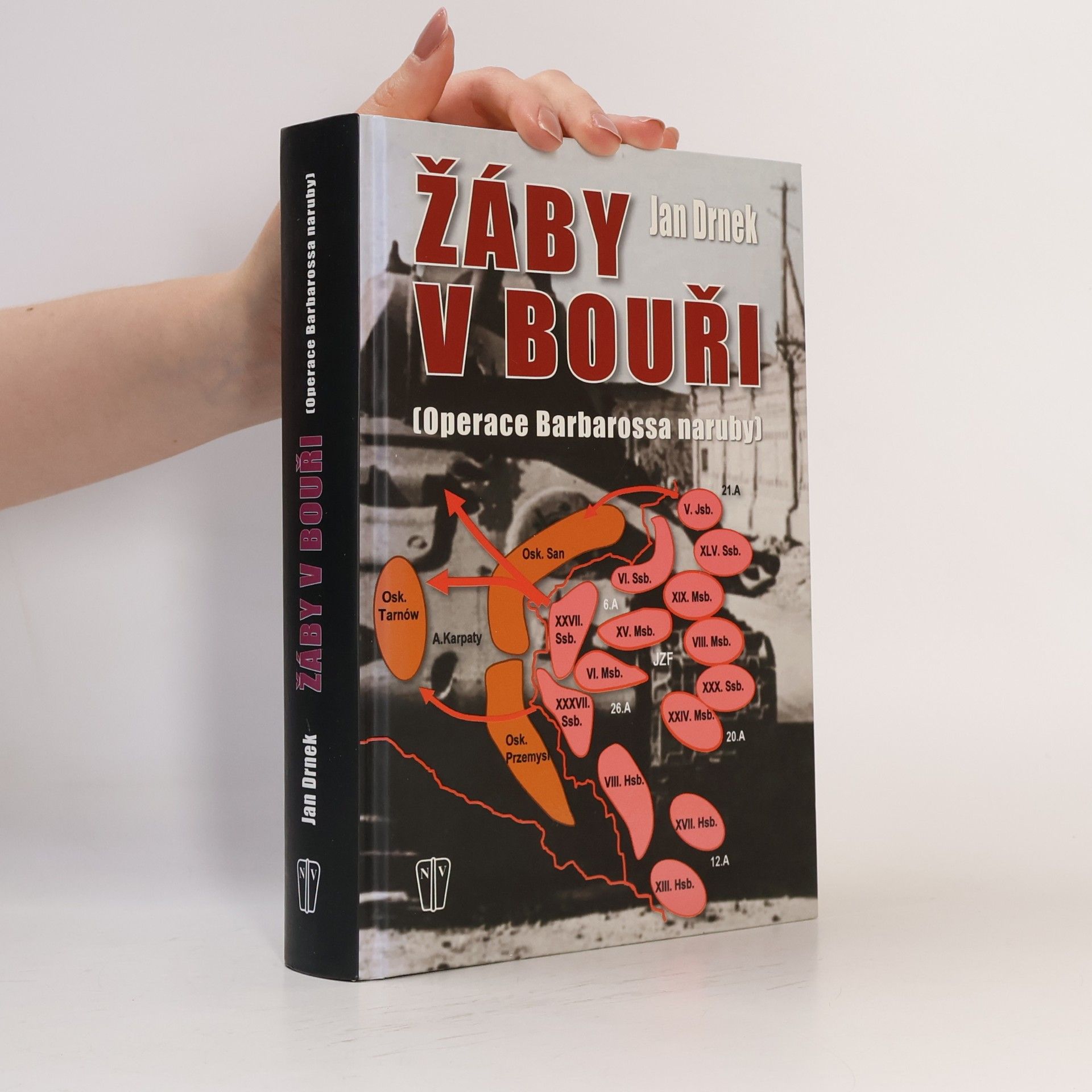 Žáby v bouři - Operace Barbarossa naruby