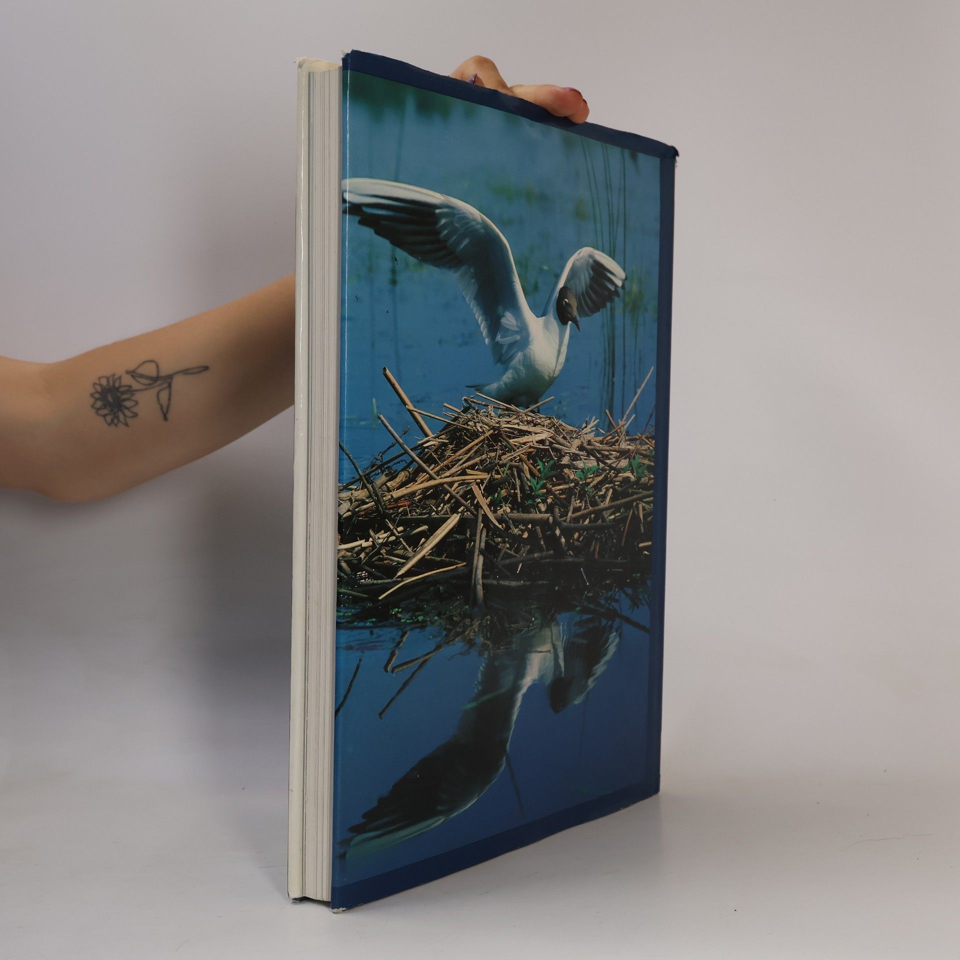 Jacques Gilliéron L'acqua e la vita. Fauna e flora delle zone umide