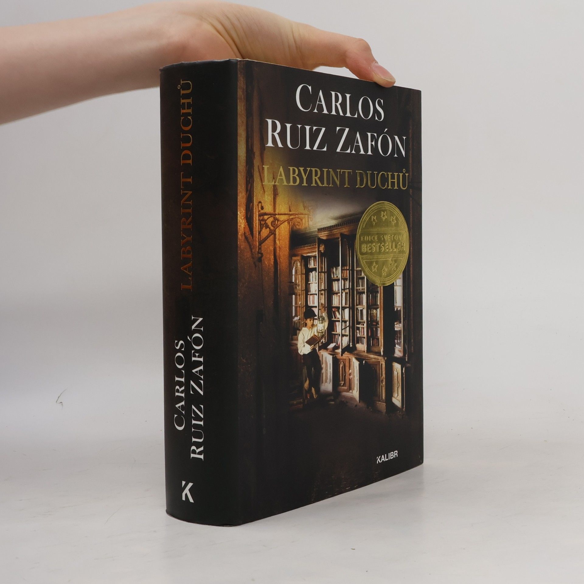 Carlos Ruiz Zafón Labyrint duchů