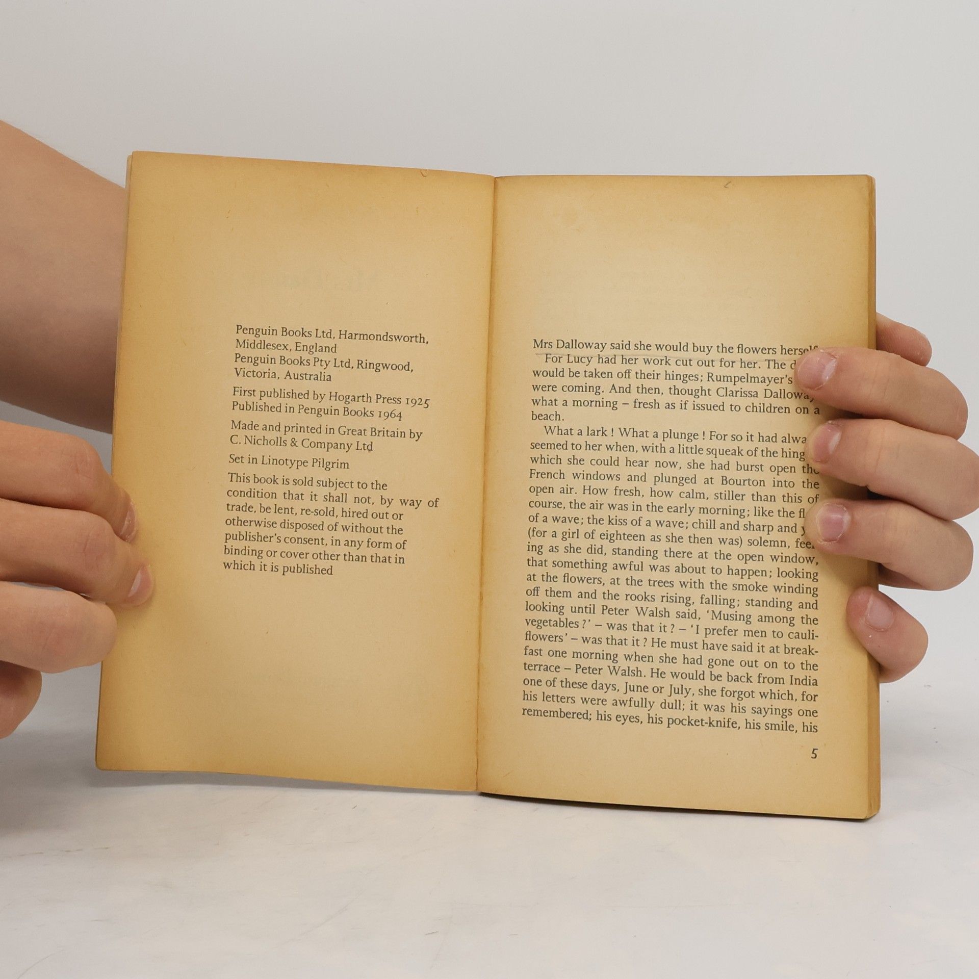 Virginia Woolf Mrs Dalloway