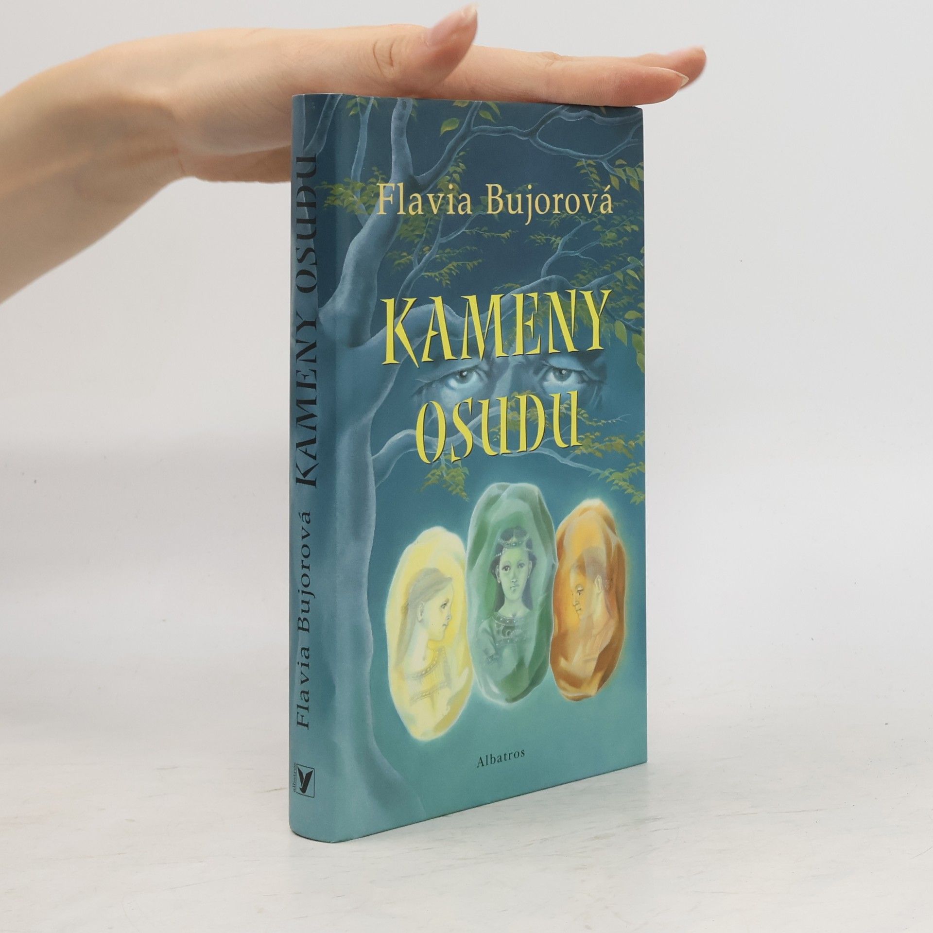 Flavia Bujor Kameny osudu