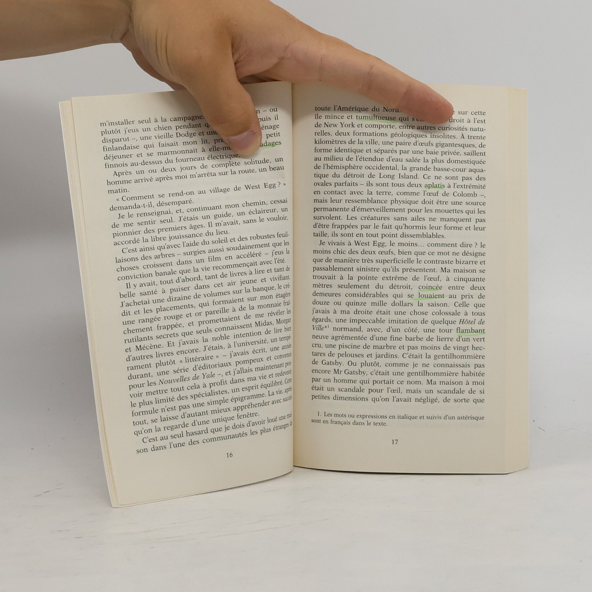 F. Scott Fitzgerald Gatsby le magnifique