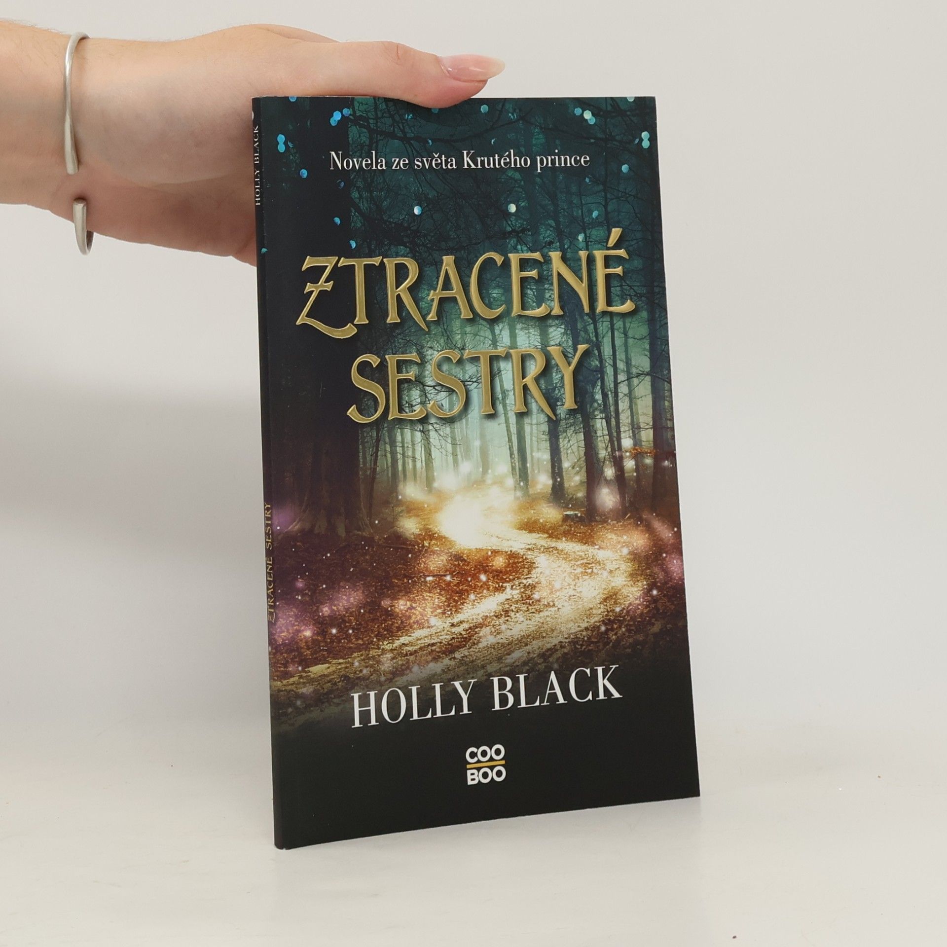 Holly Black Ztracené sestry