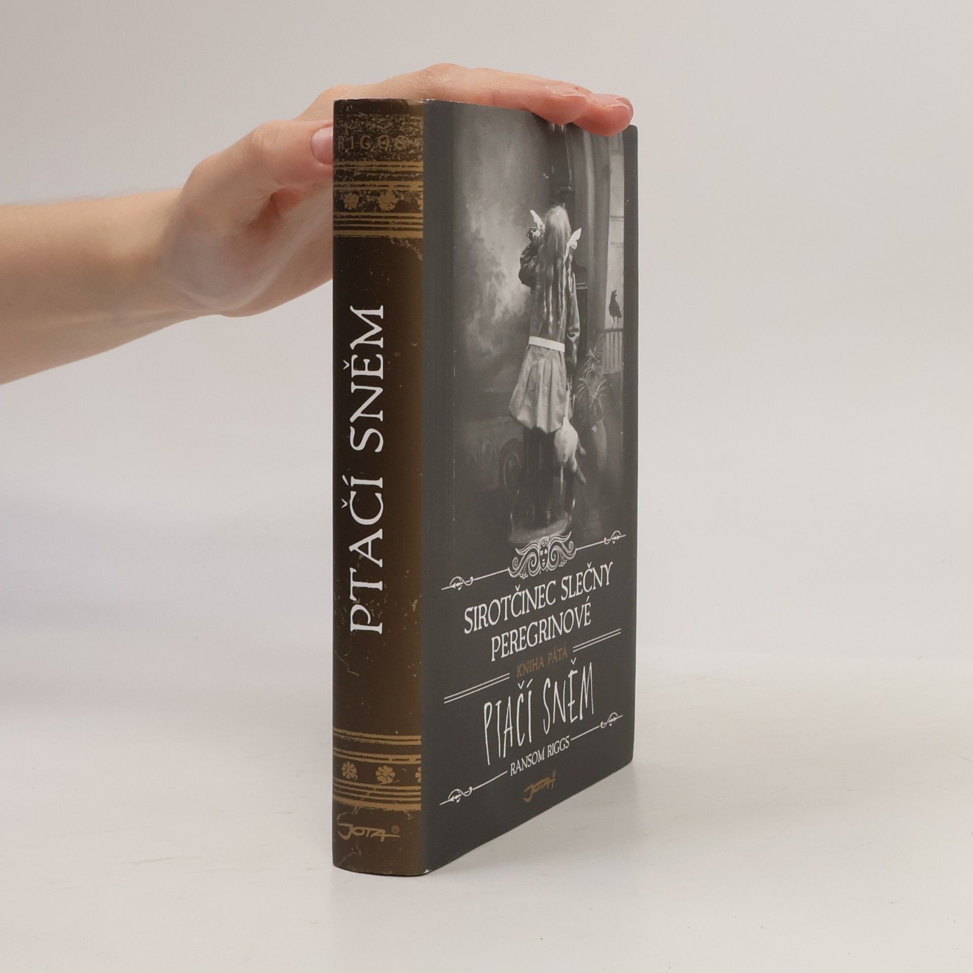 Ransom Riggs Ptačí sněm