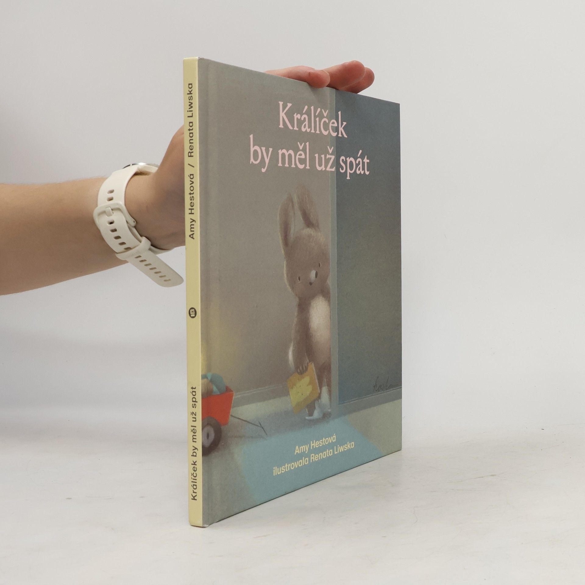 Amy Hest Králíček by měl už spát