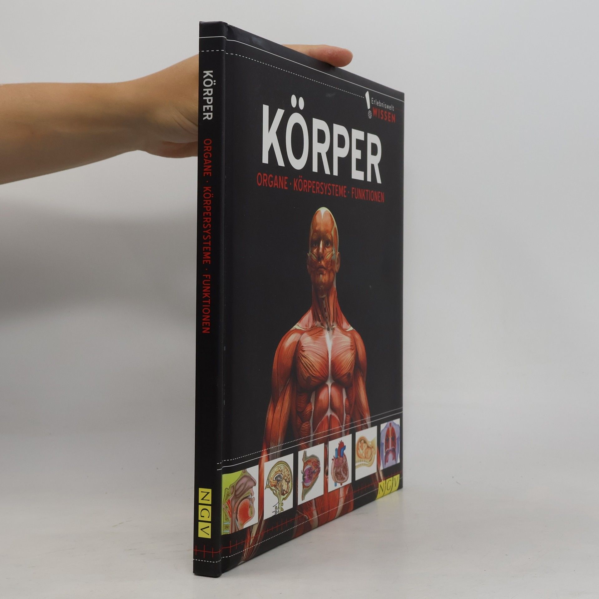 Autorenkollektiv Körper