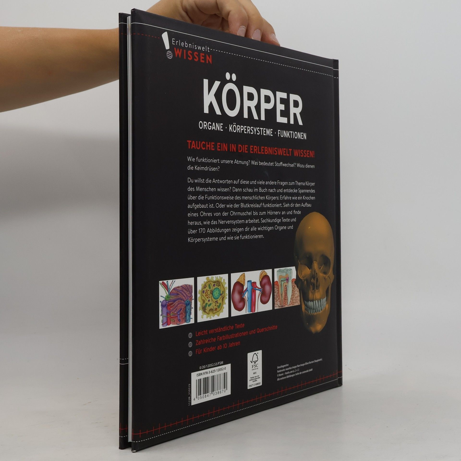 Various authors Körper