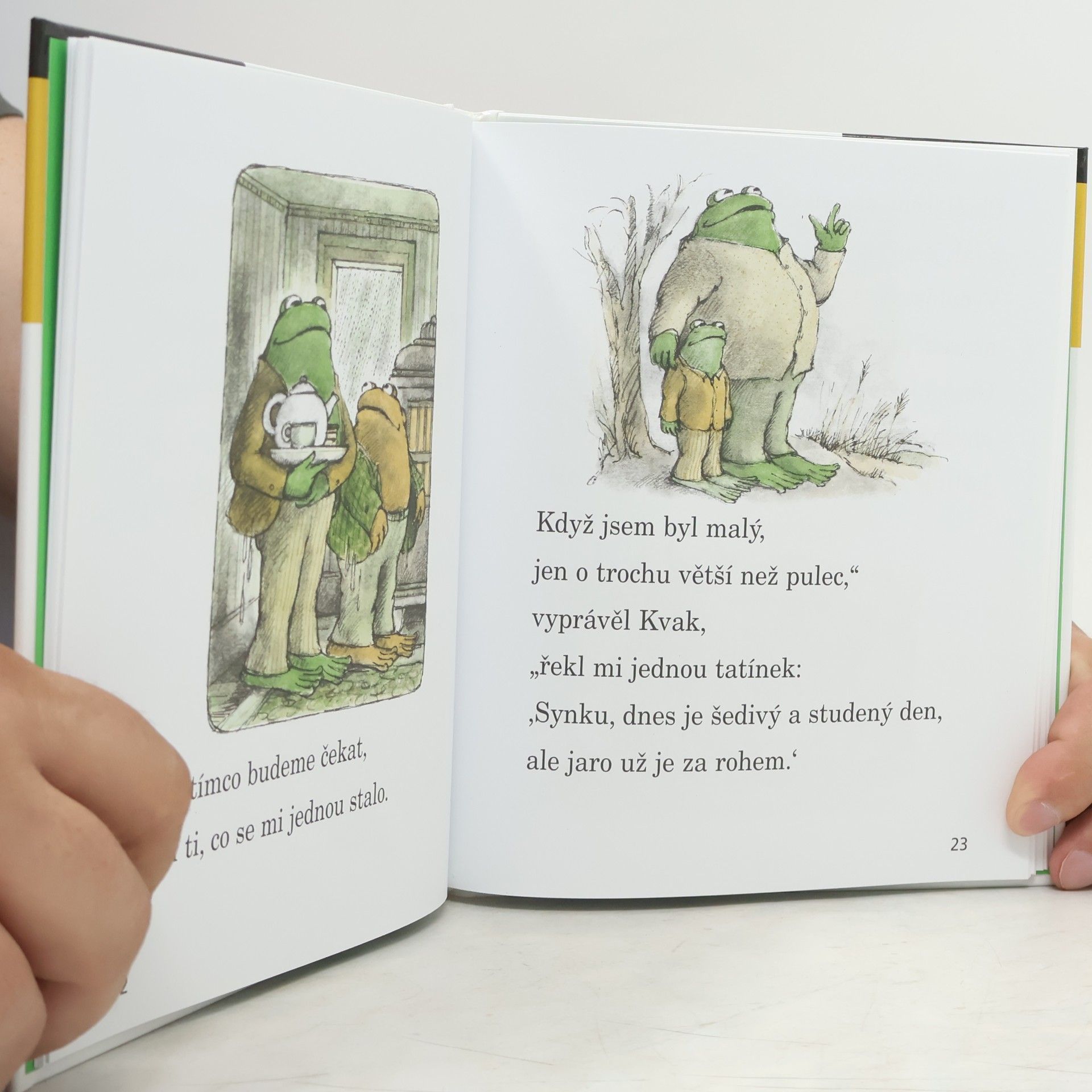 Arnold Lobel Kvak a Žbluňk od jara do Vánoc