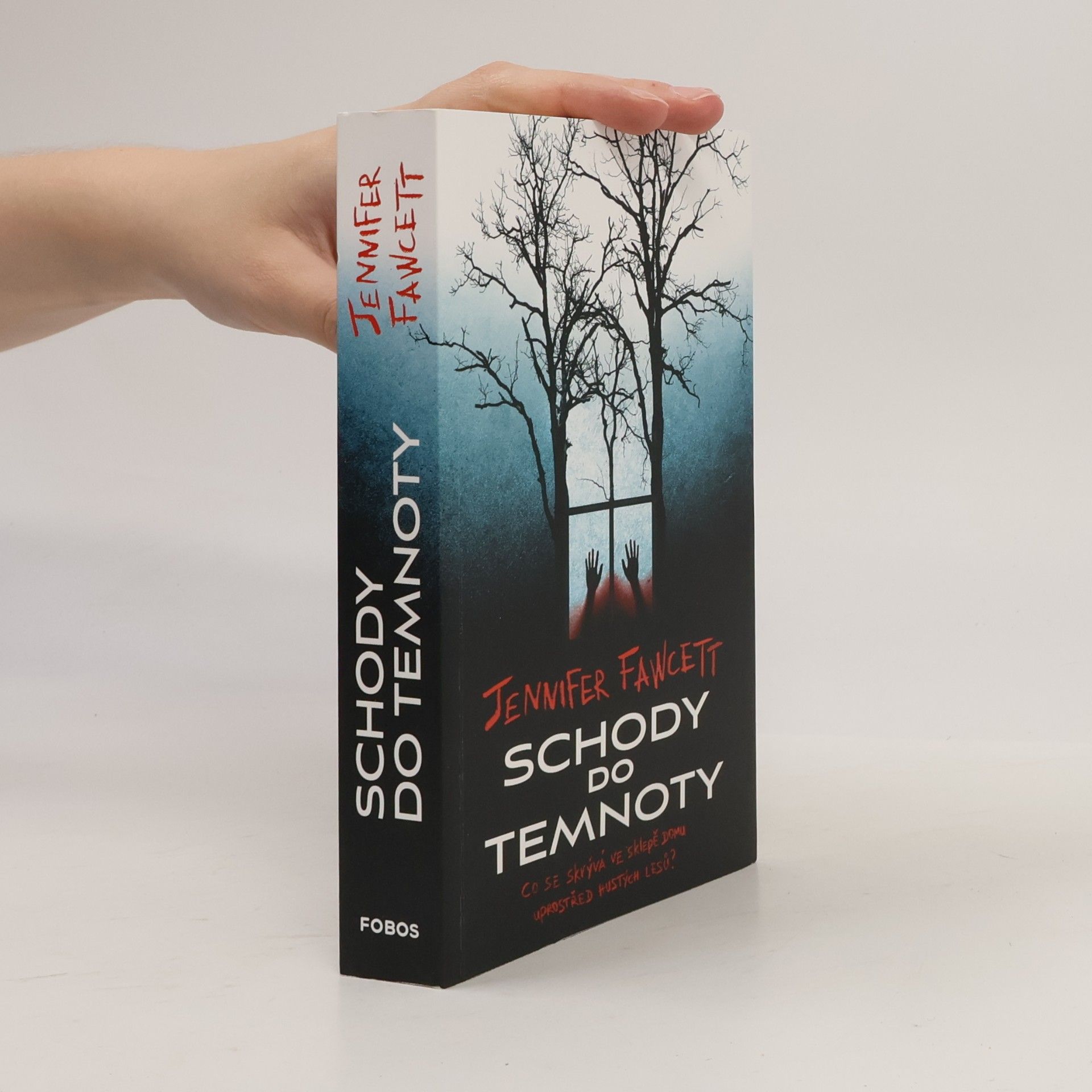 Jennifer Fawcett Schody do temnoty