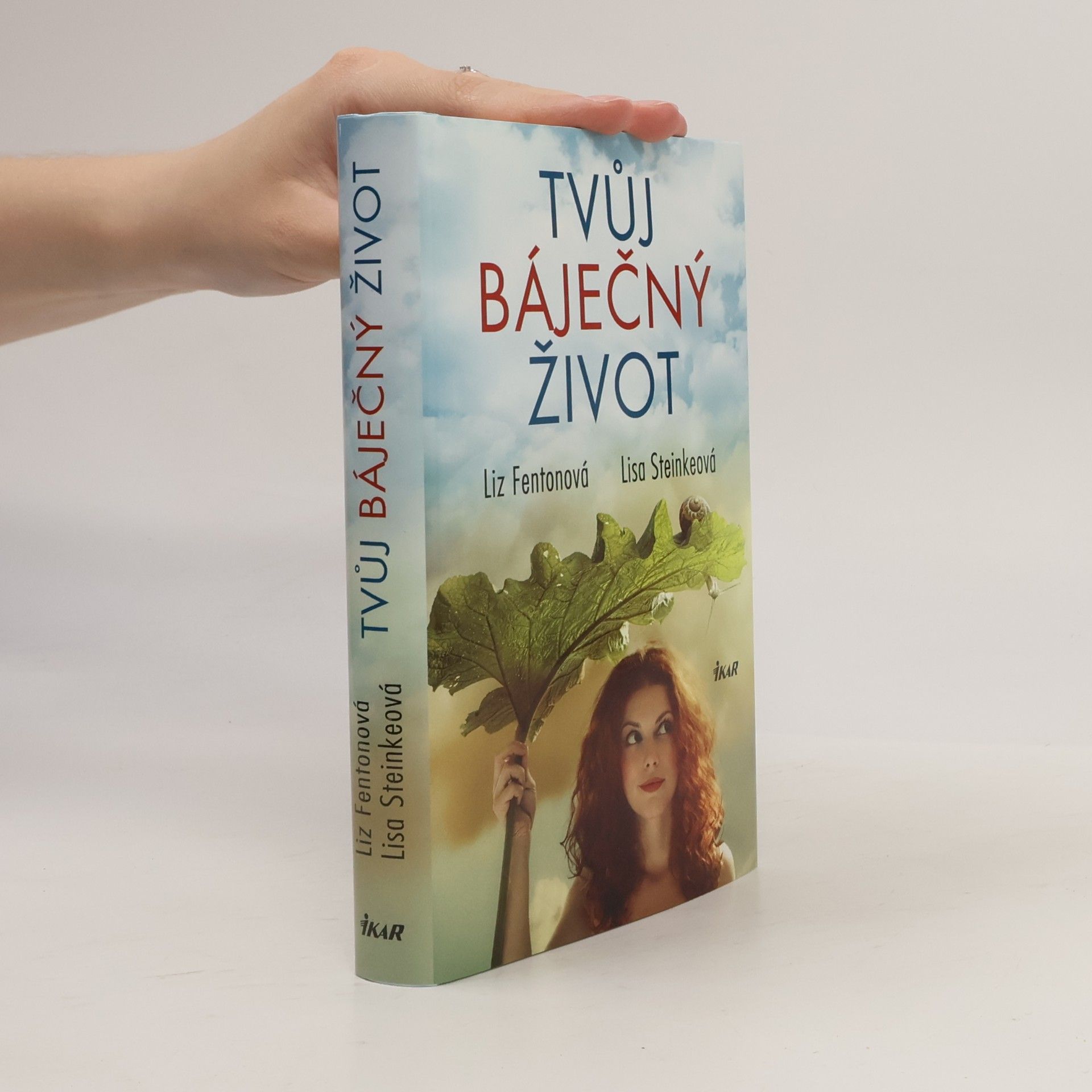 Lisa Steinke Tvůj báječný život