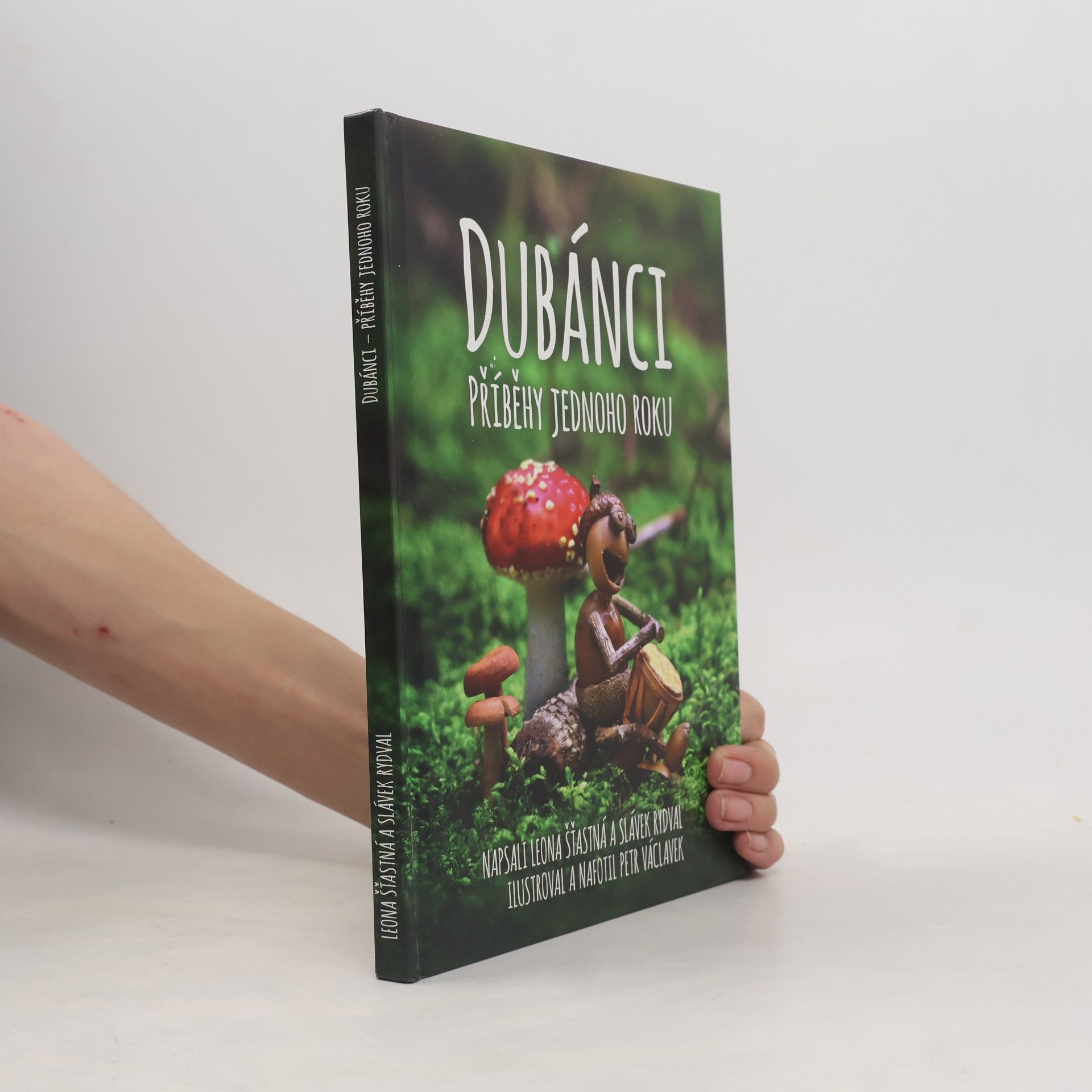 Slávek Rydval Dubánci: Příběhy jednoho roku