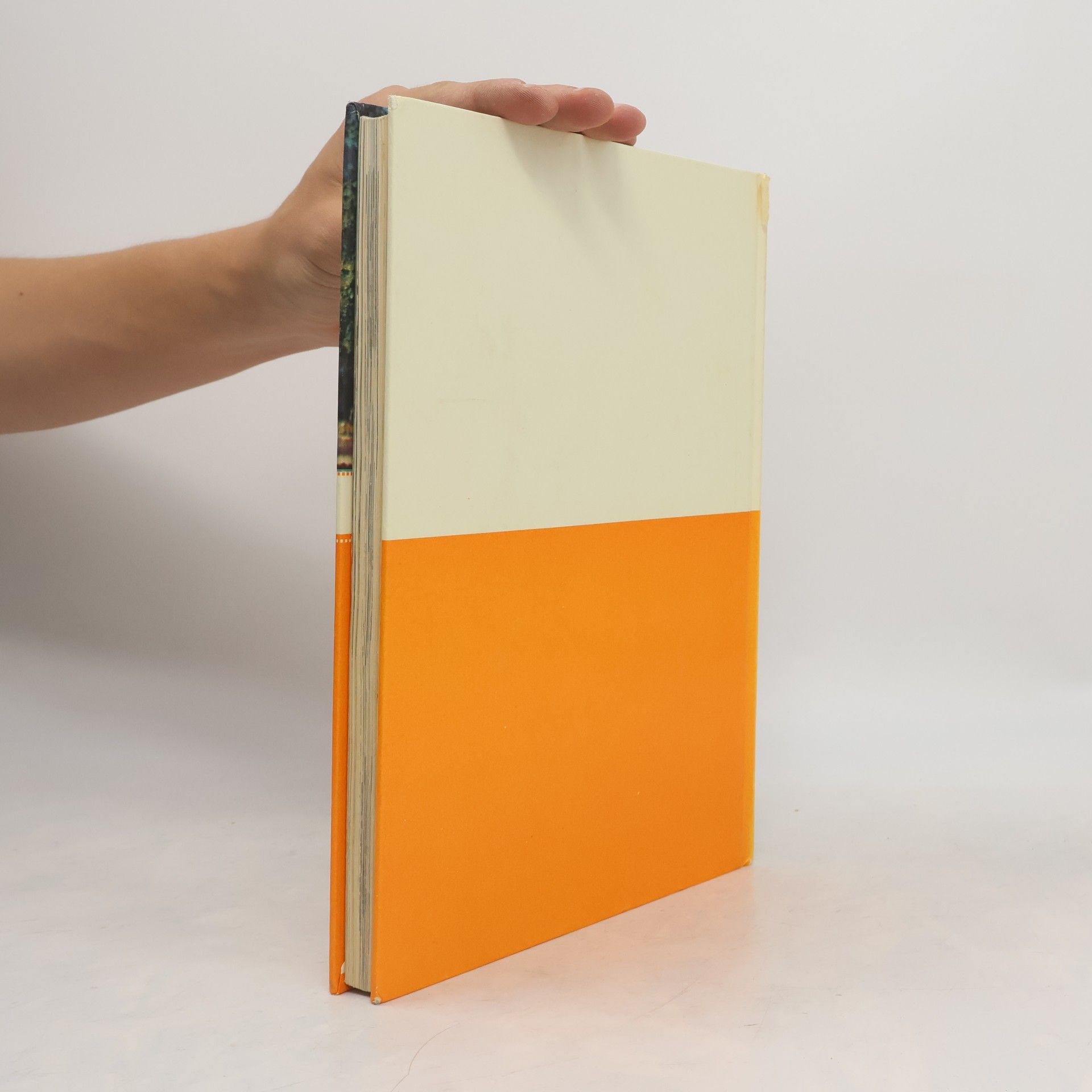 Collectif d'auteurs Verhalen van overal
