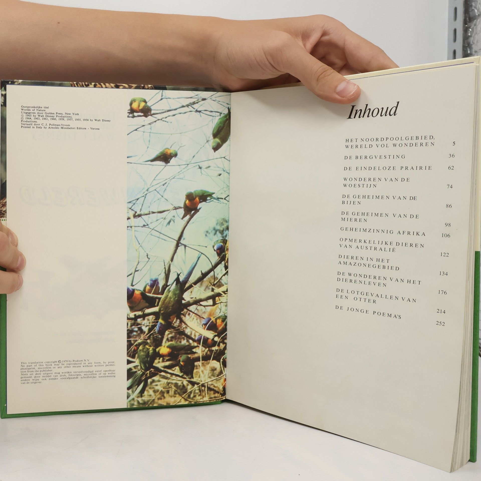 Collectif d'auteurs Dierenwereld