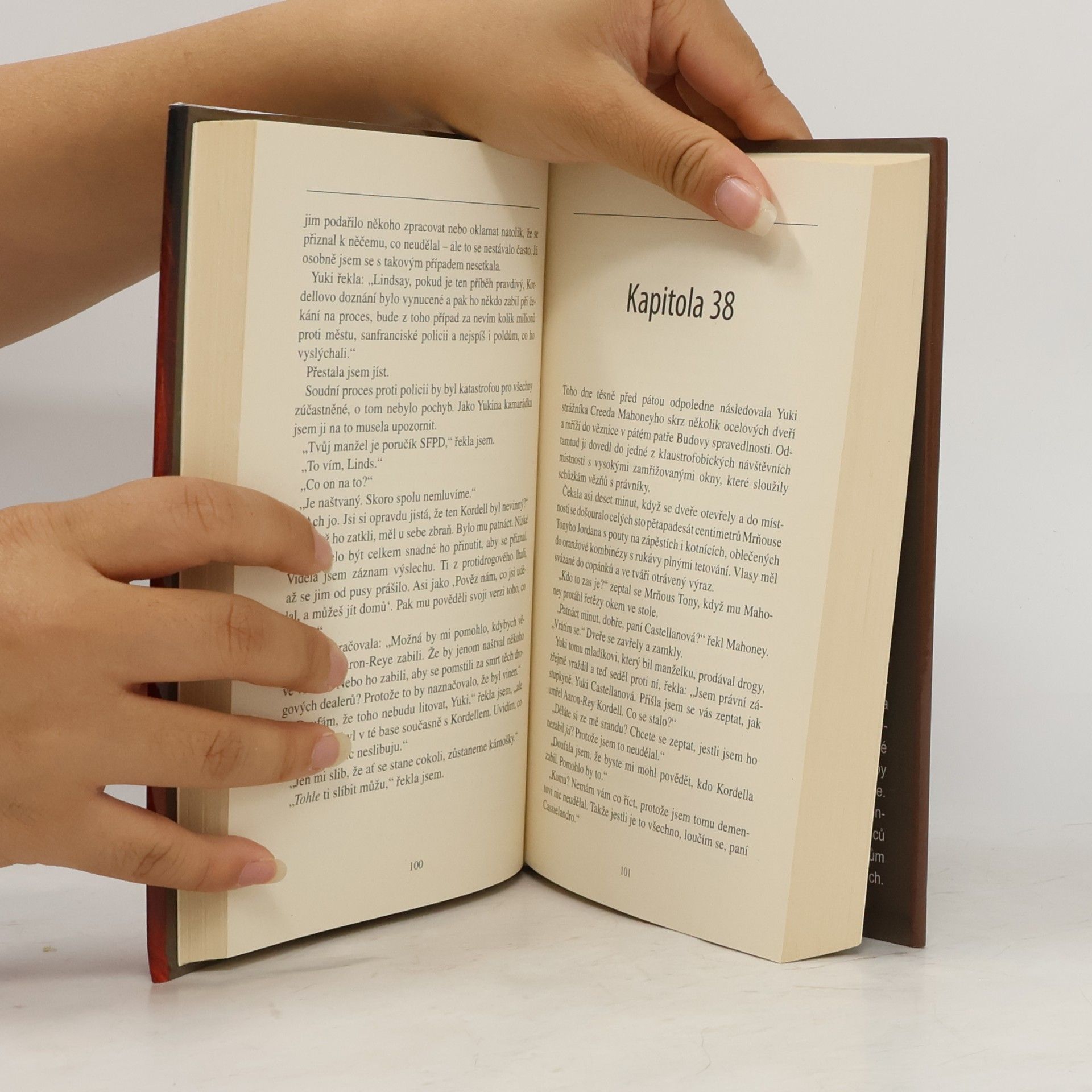 James Patterson Čtrnáctý hřích