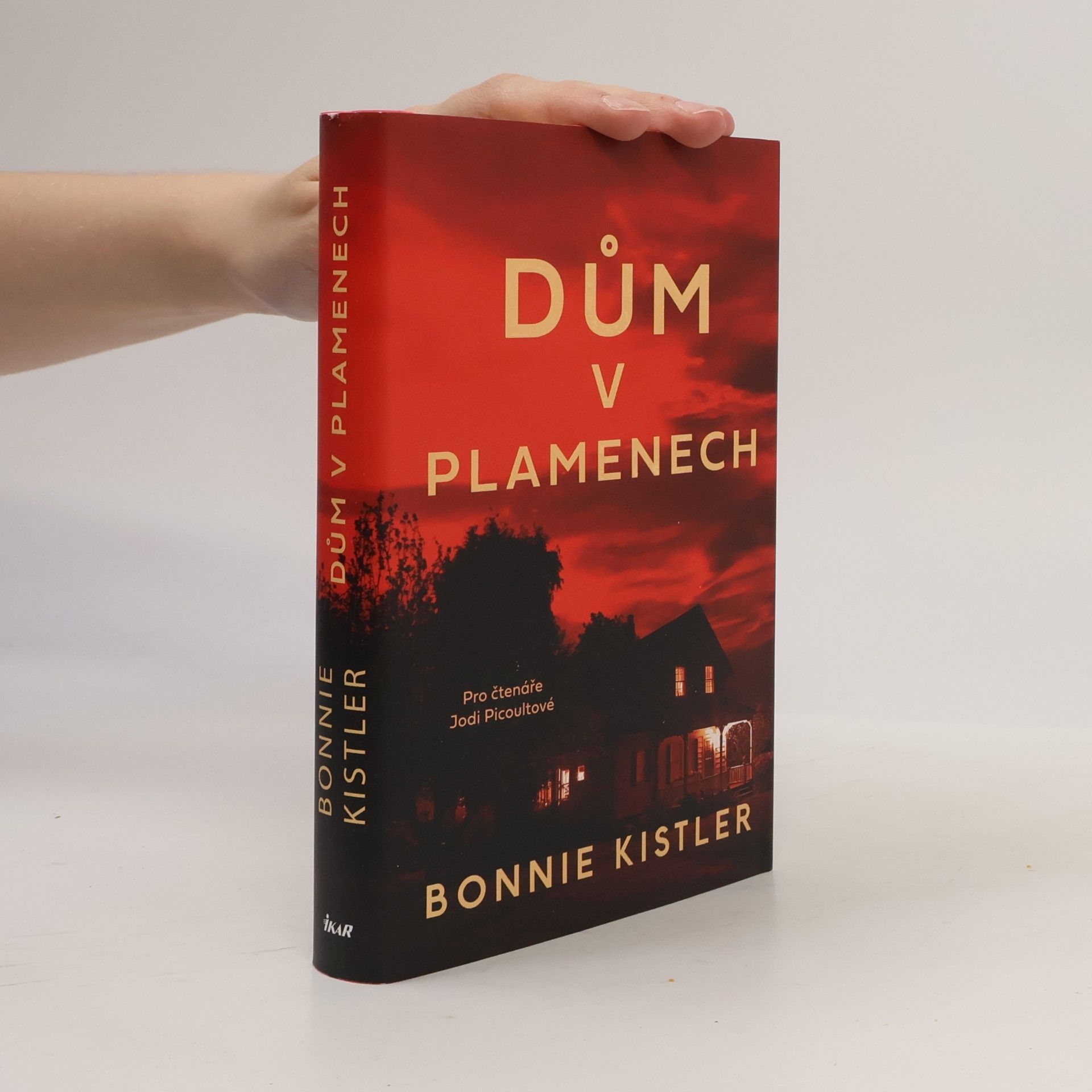 Bonnie Kistler Dům v plamenech