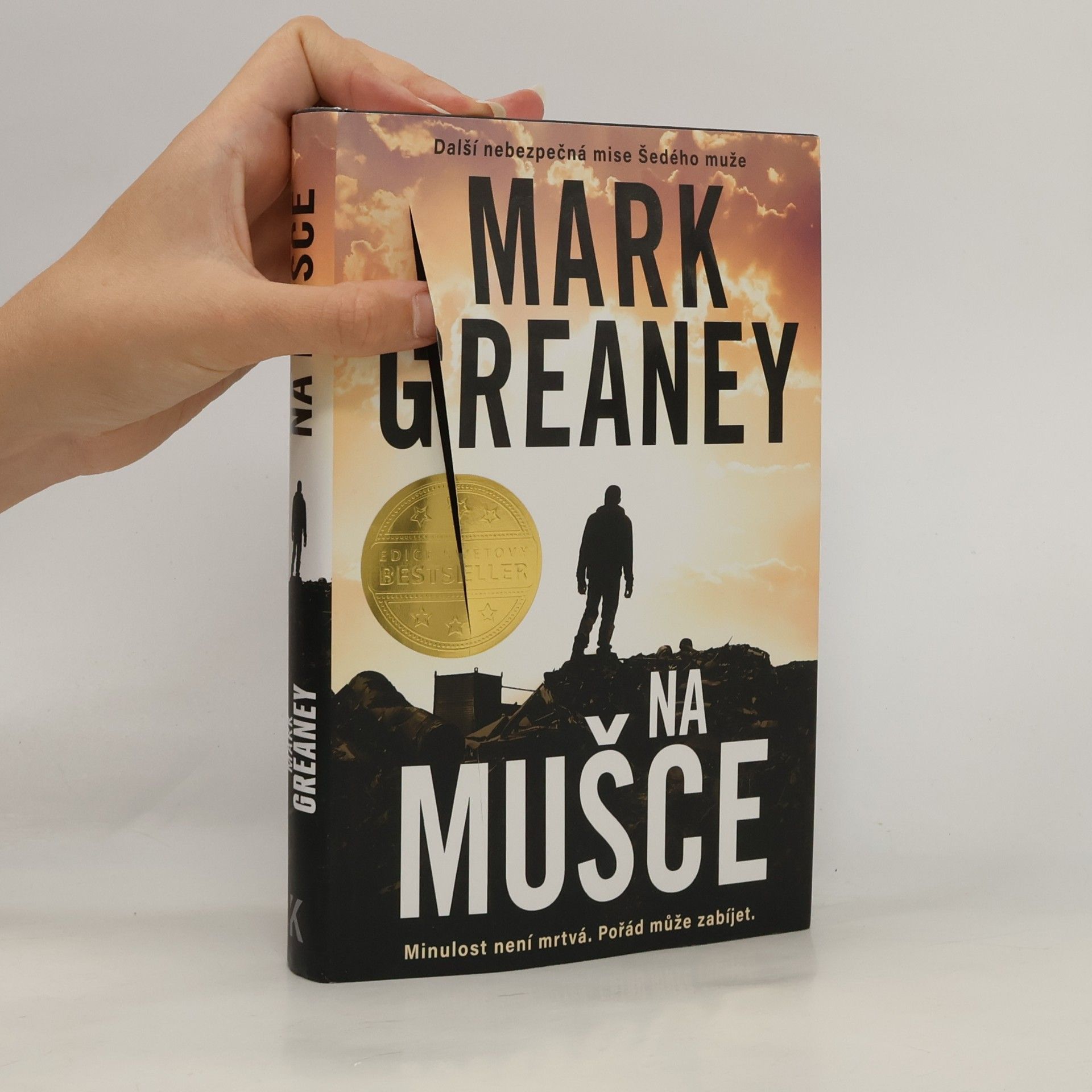 Mark Greaney Na mušce
