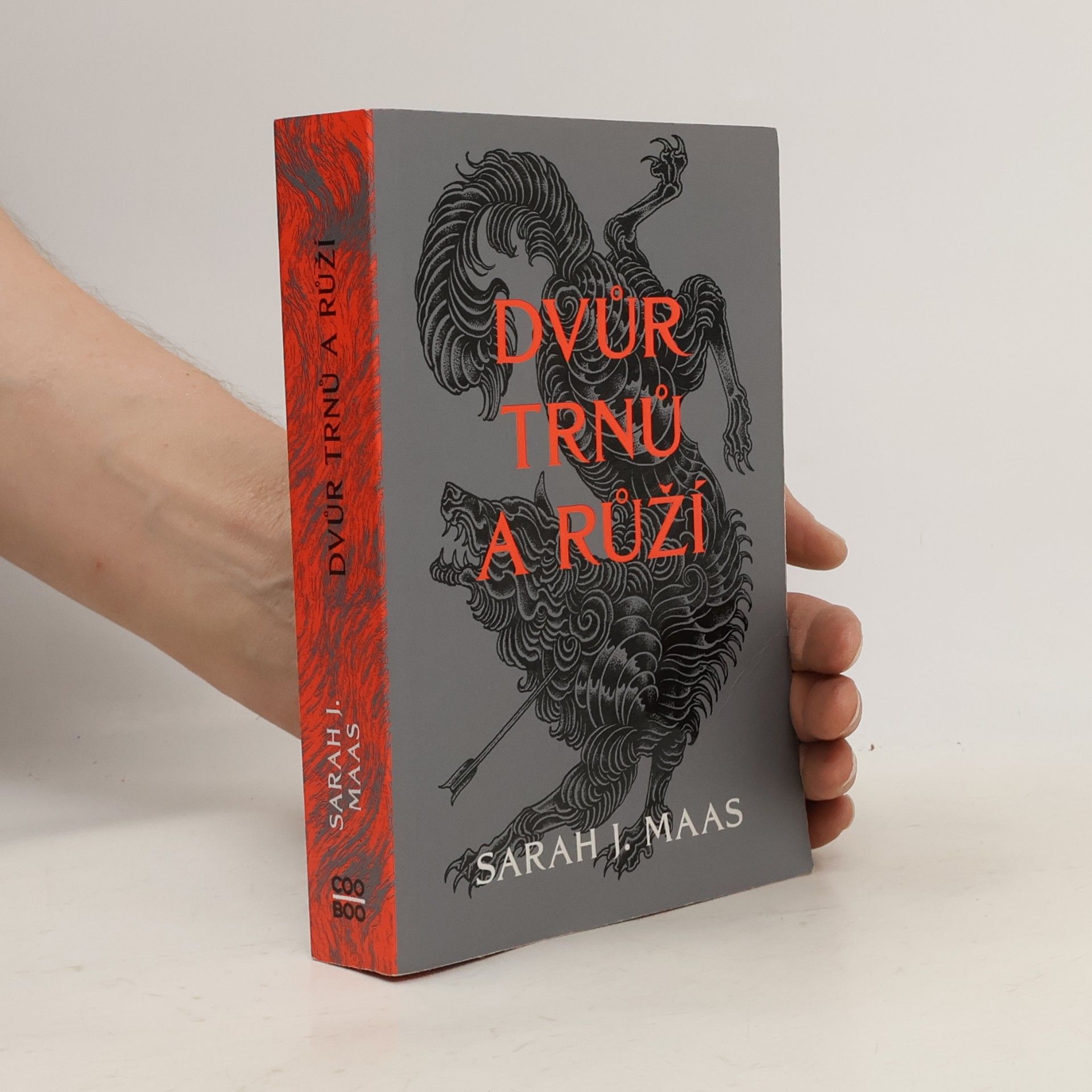 Sarah J. Maas Dvůr trnů a růží