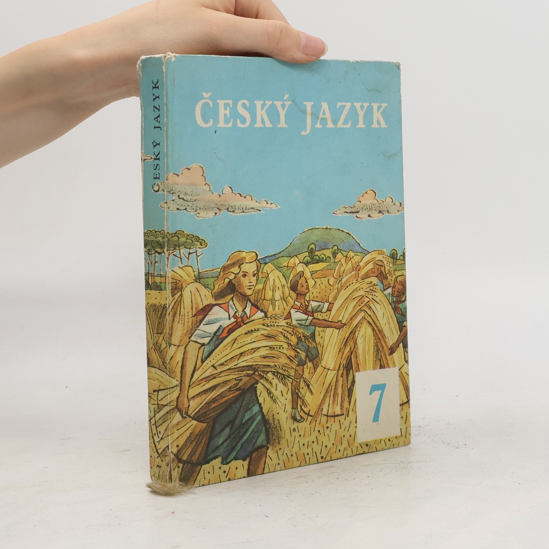 Various authors Český jazyk 7
