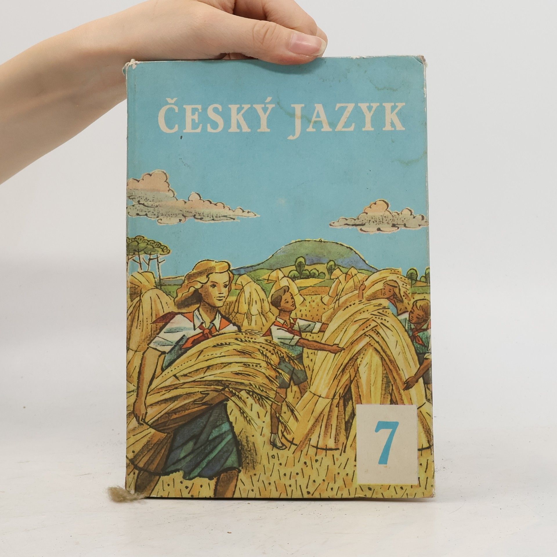 Various authors Český jazyk 7