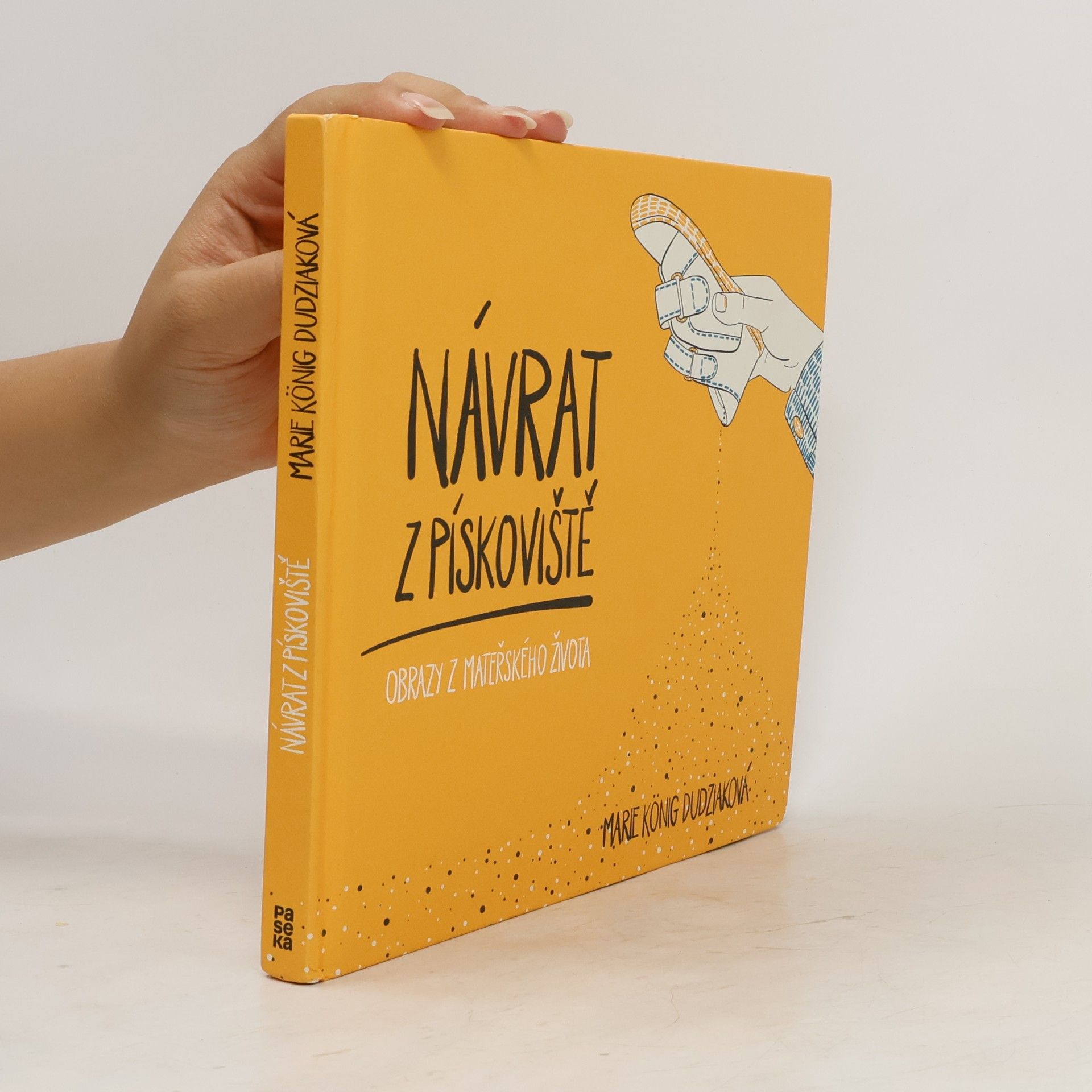 Marie König Dudziaková Návrat z pískoviště : obrazy z mateřského života
