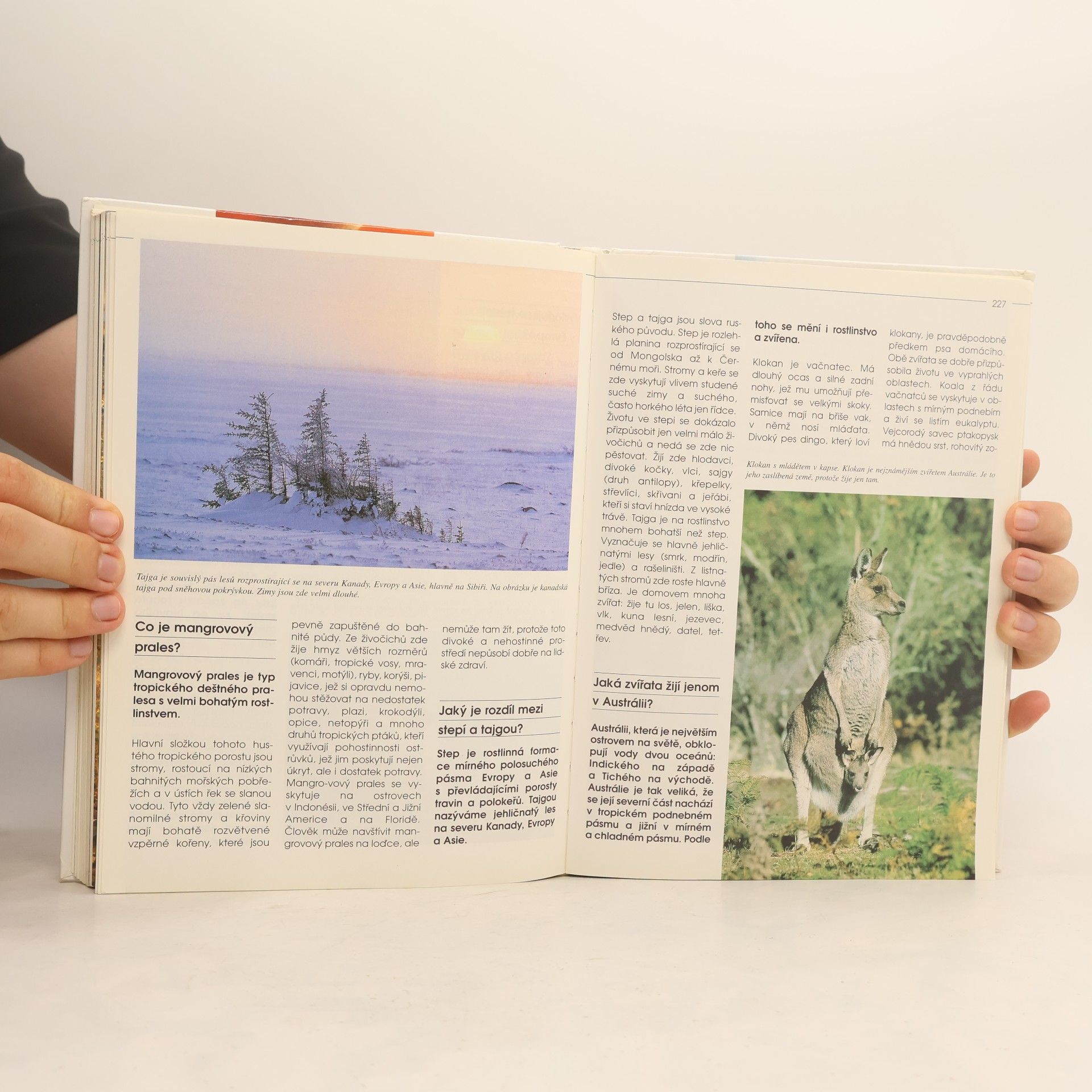 Various authors 1001 otázek a odpovědí na vše kolem nás