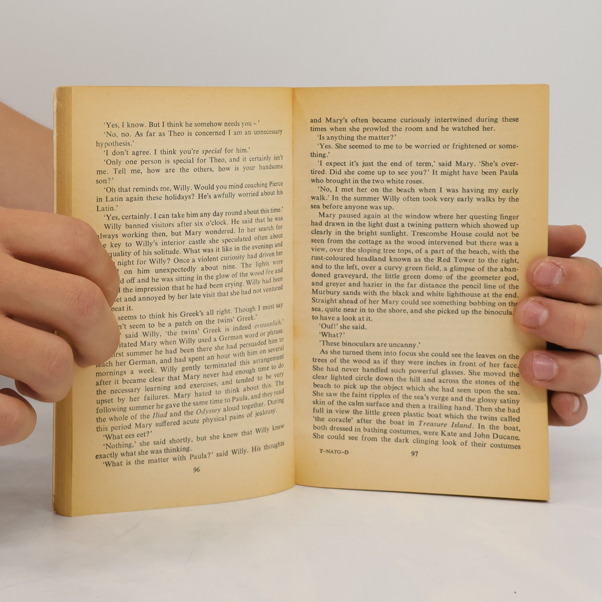 Iris Murdoch The Nice and the Good