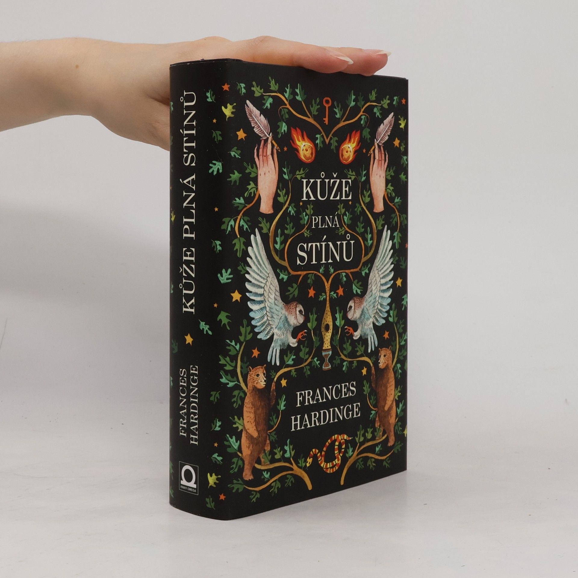 Frances Hardinge Kůže plná stínů
