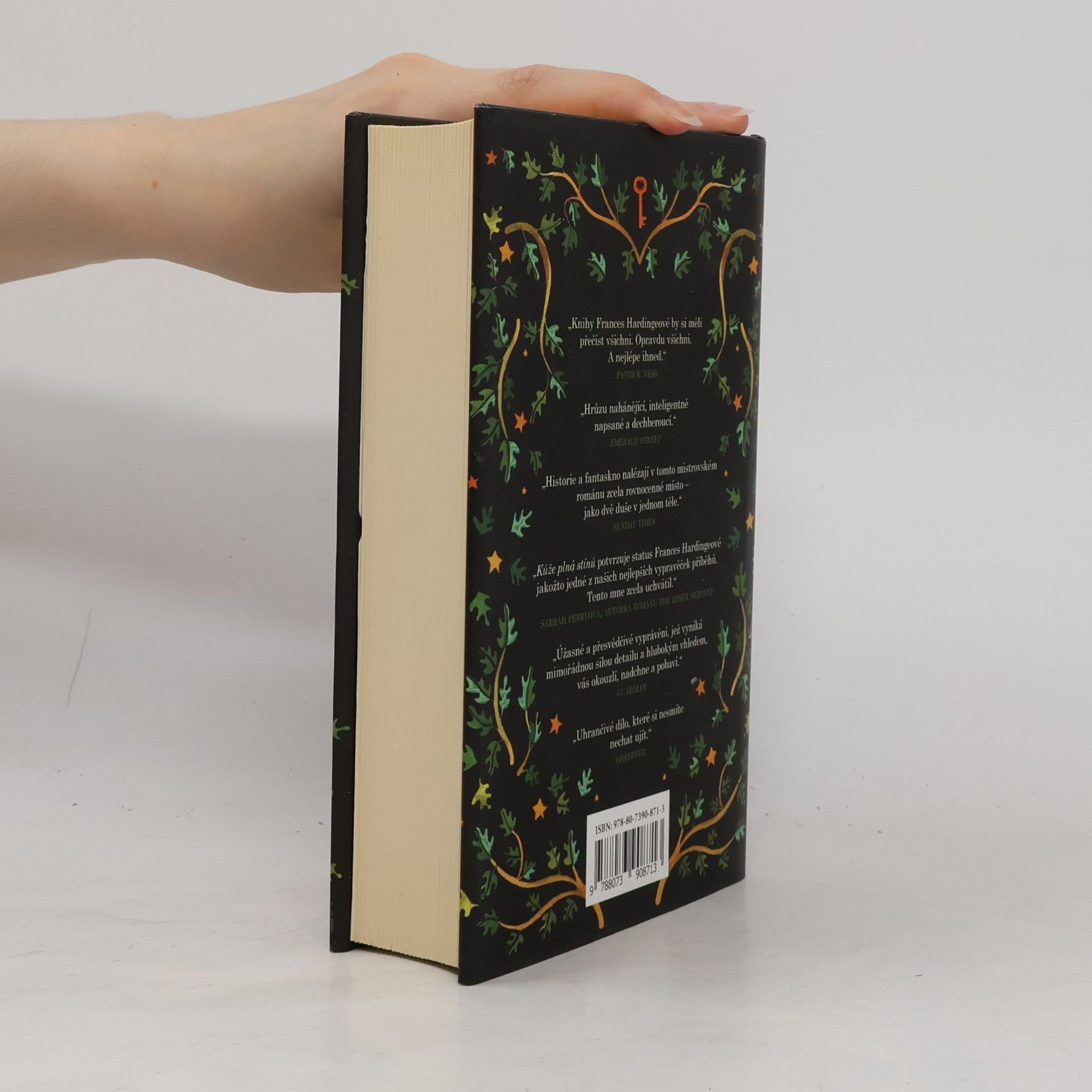 Frances Hardinge Kůže plná stínů