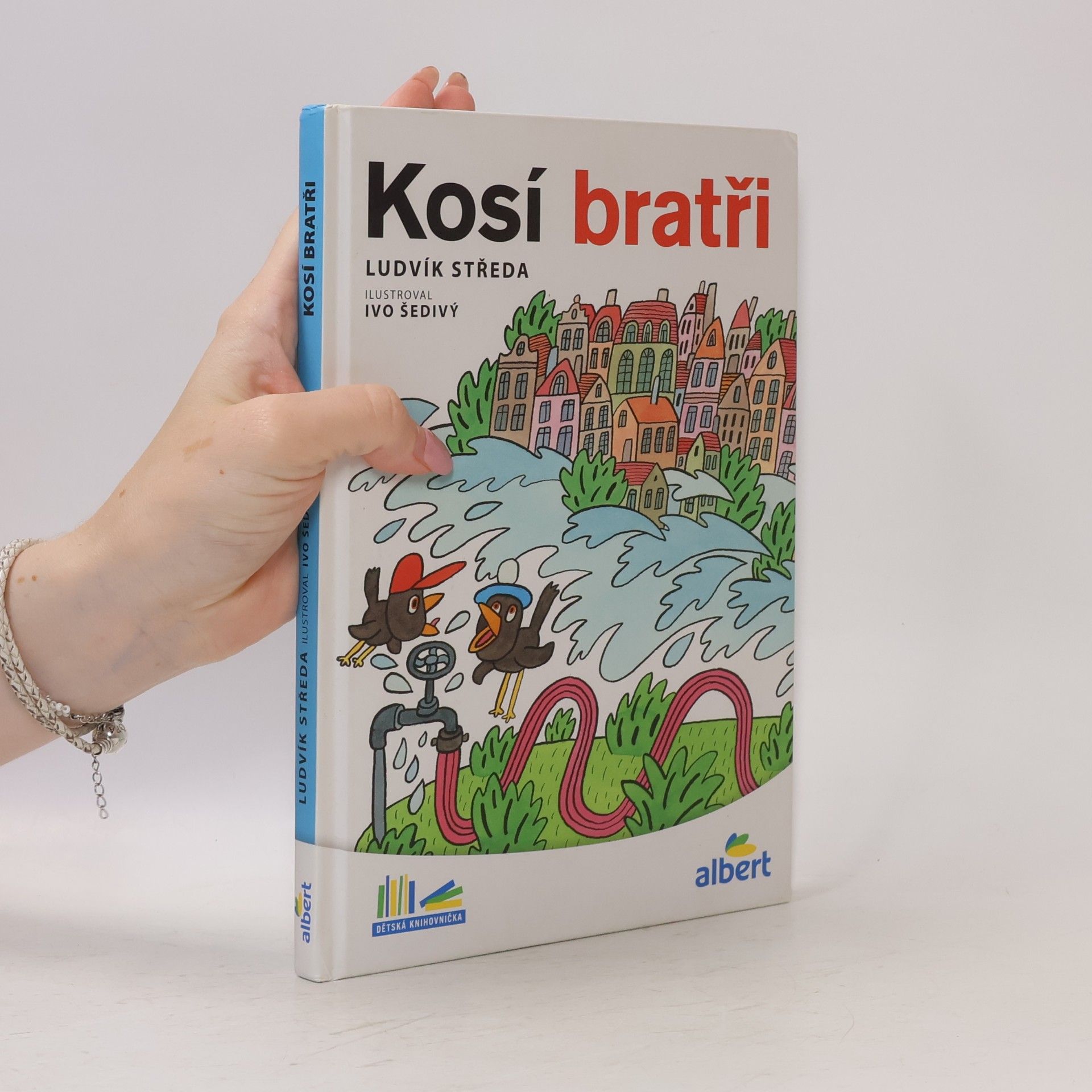 Ludvík Středa Kosí bratři