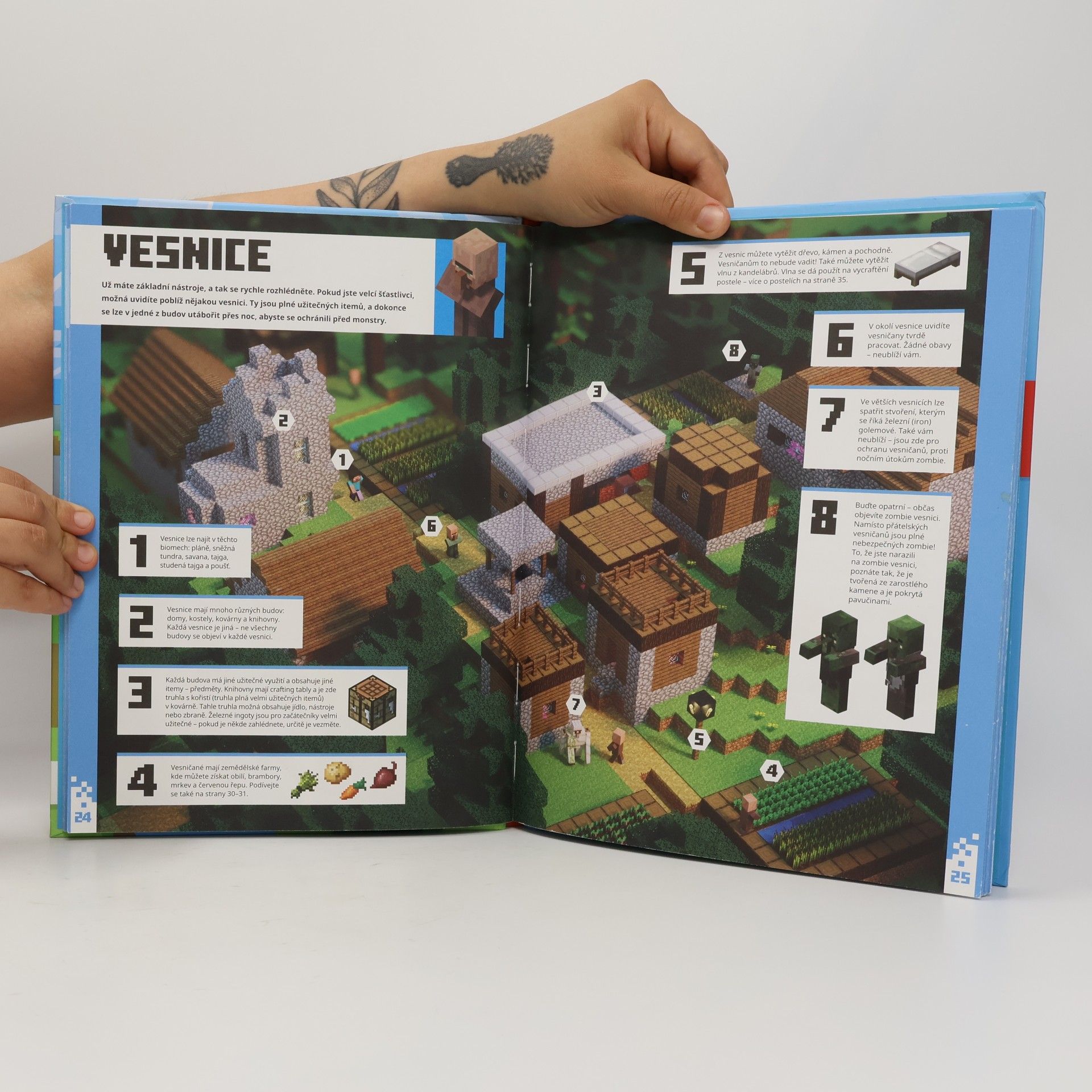 Stephanie Milton Minecraft - začínáme hrát