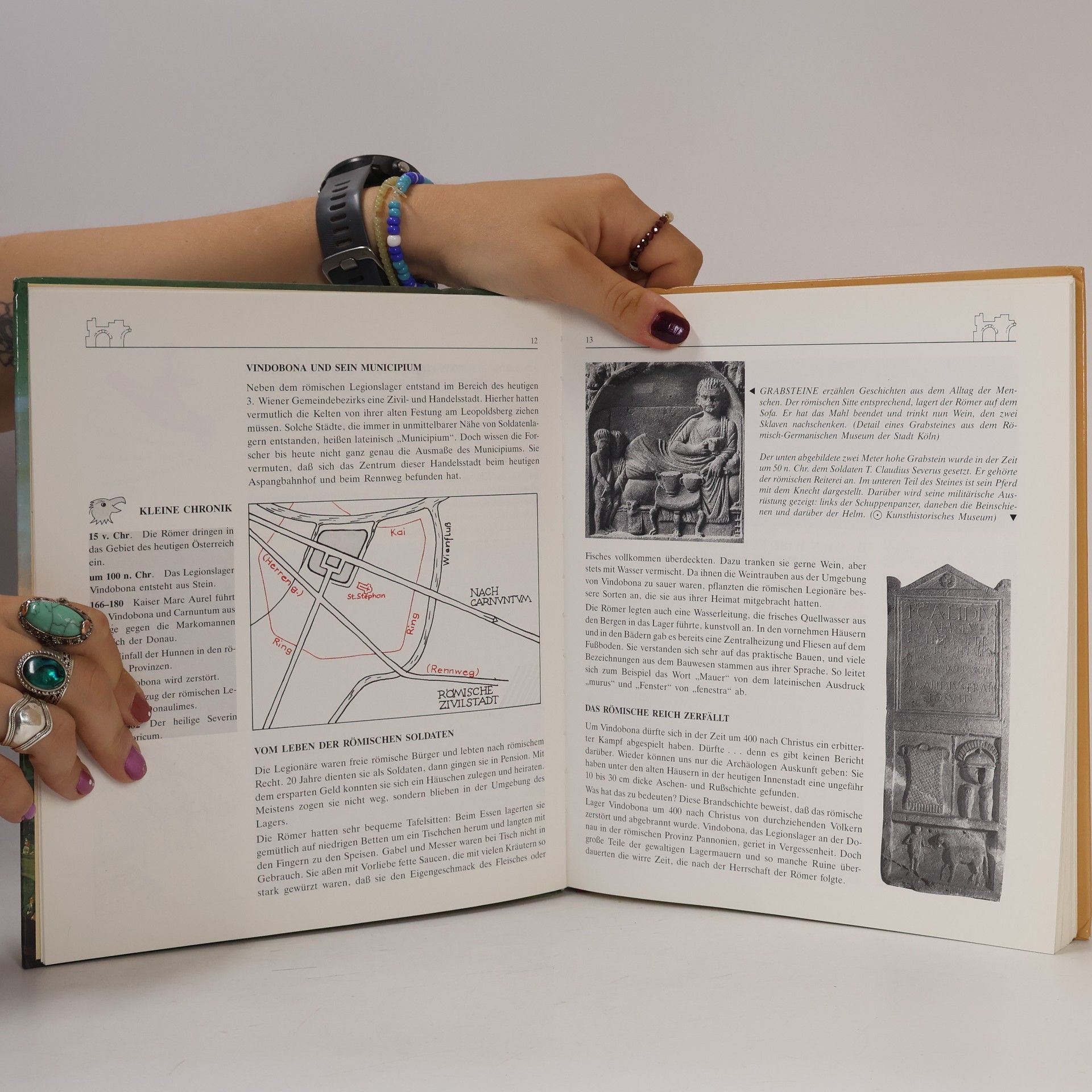 Reingard Witzmann Mein Wienbuch