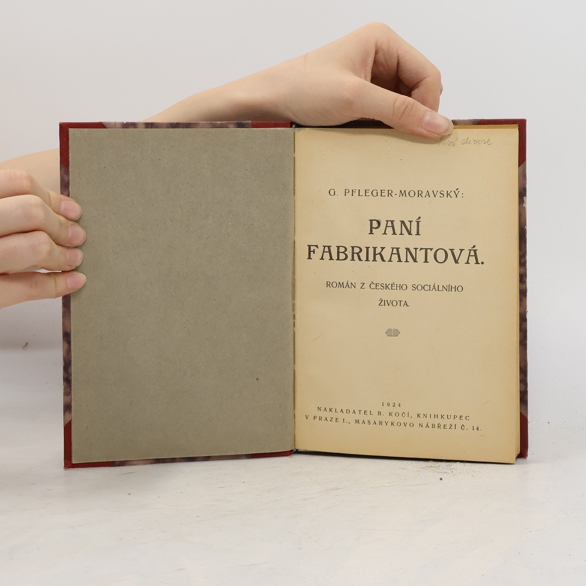 Gustav Pfleger Moravský Paní fabrikantová